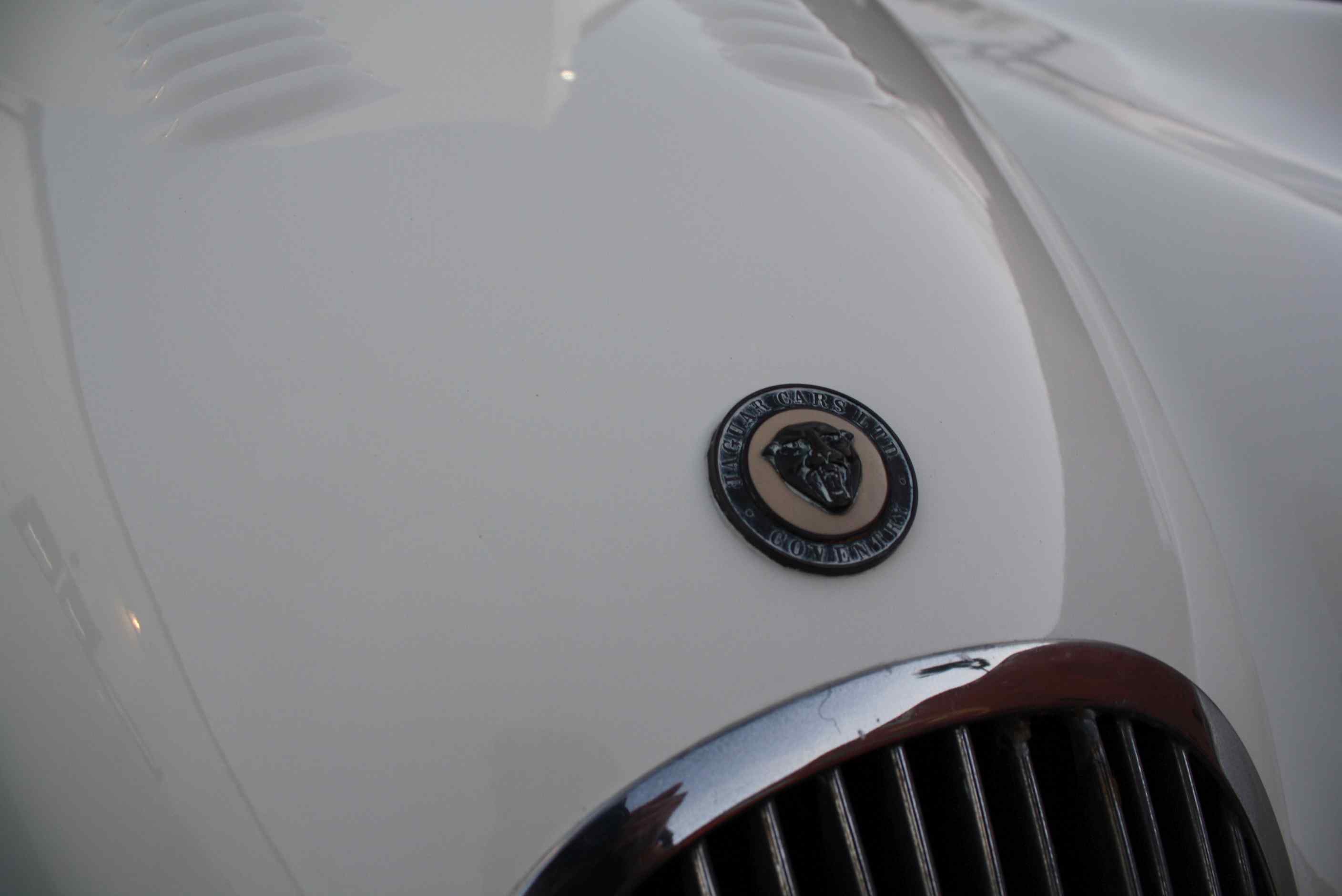 1951 Jaguar XK120