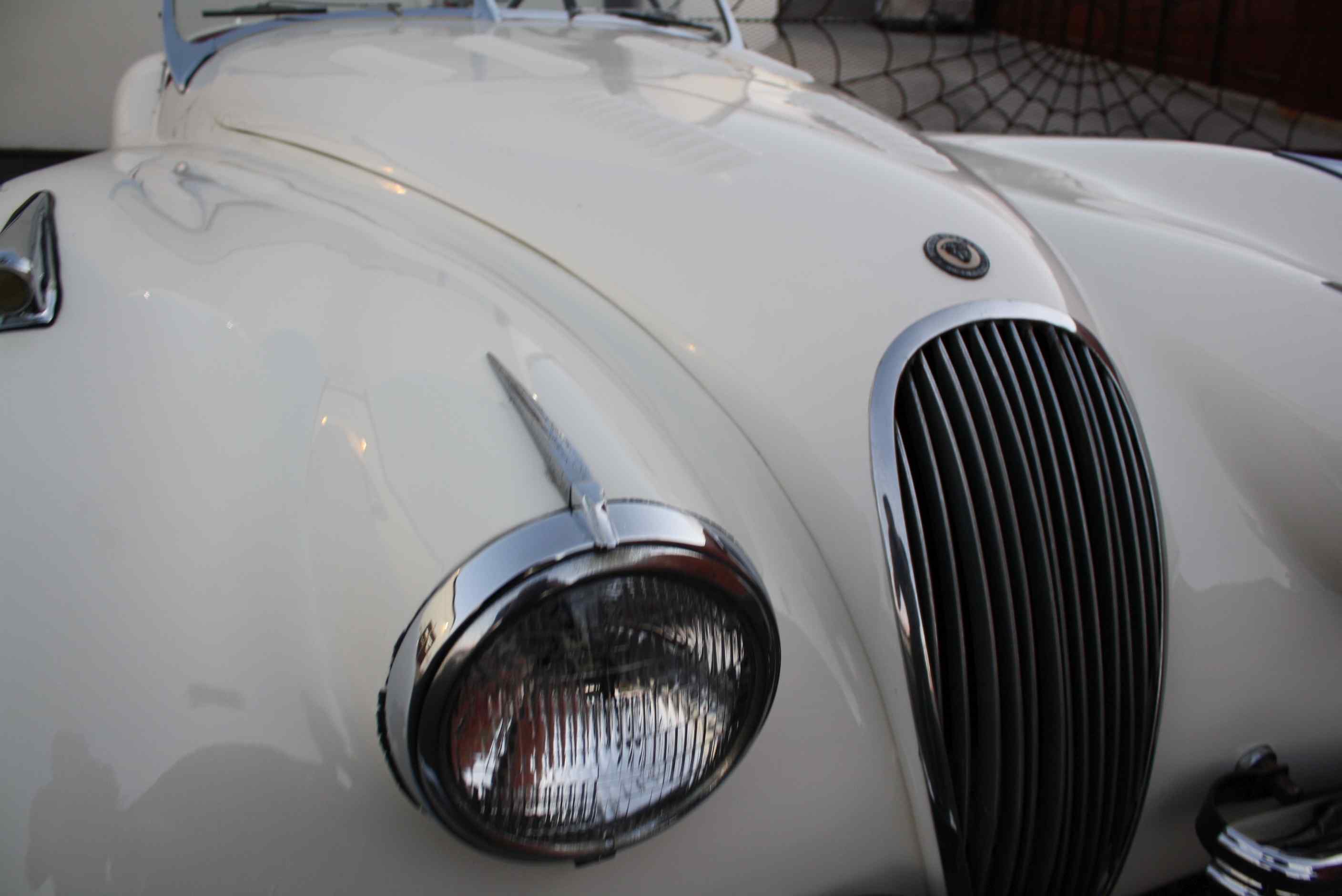 1951 Jaguar XK120