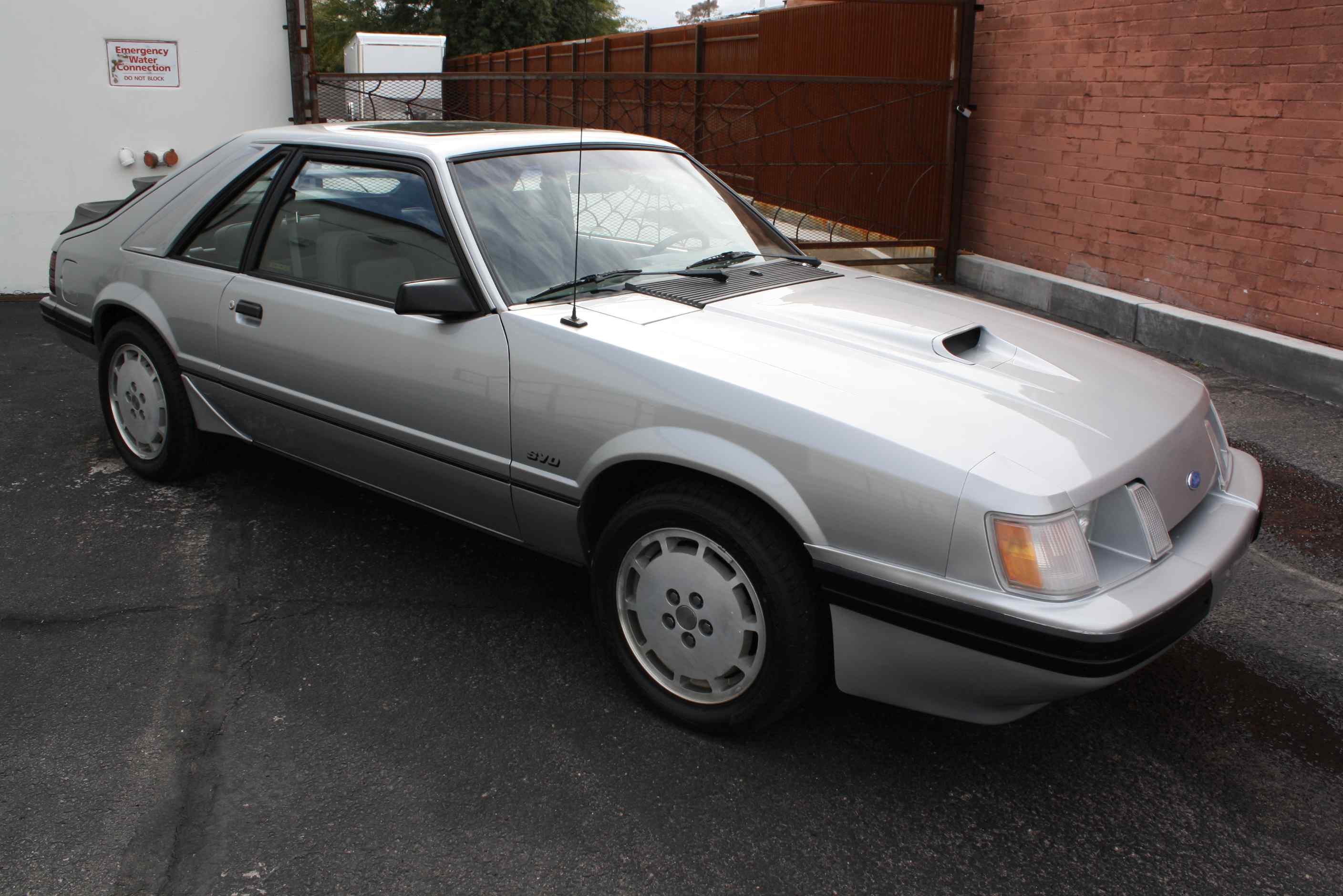 1984 Mustang SVO