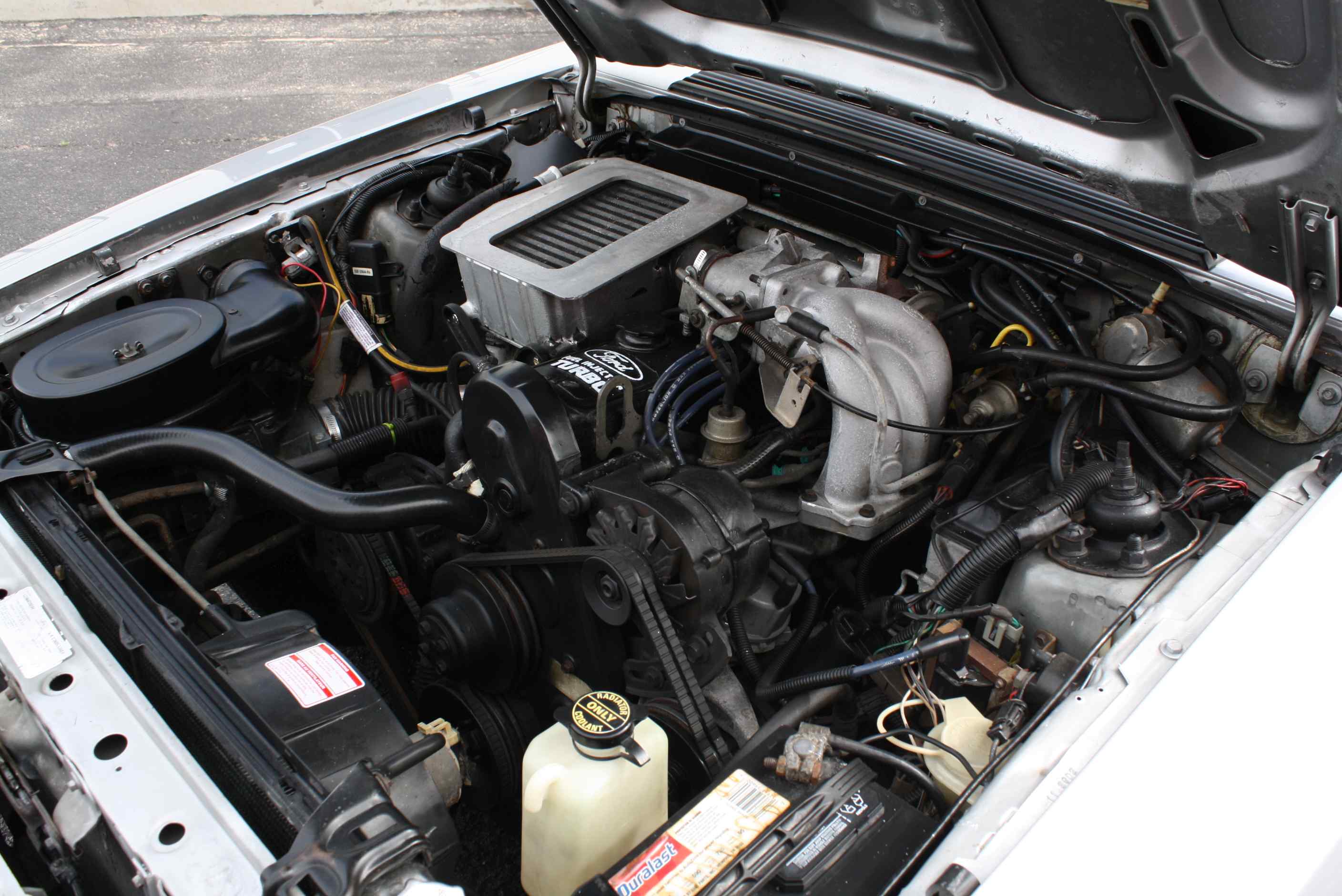 1984 Mustang SVO
