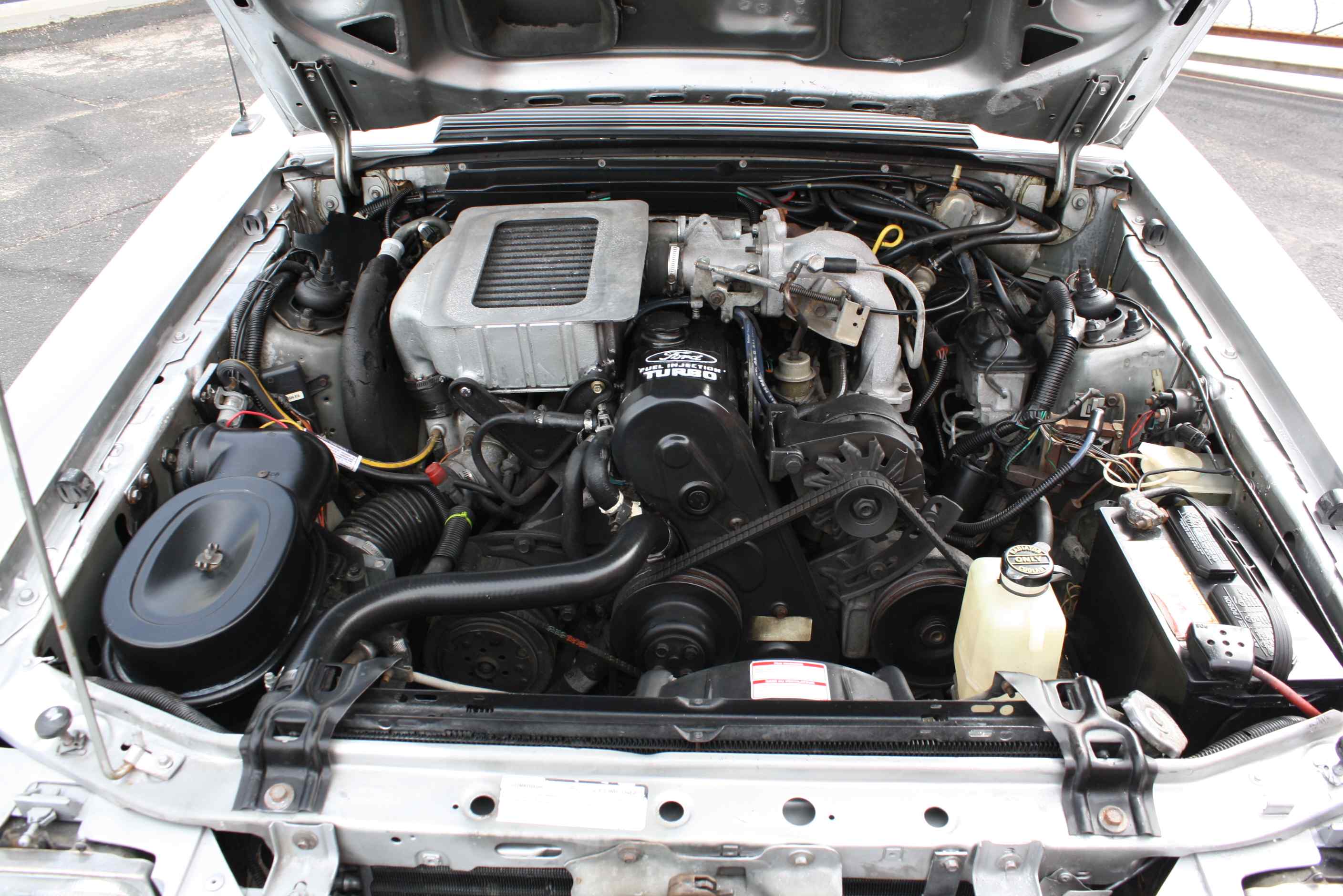 1984 Mustang SVO