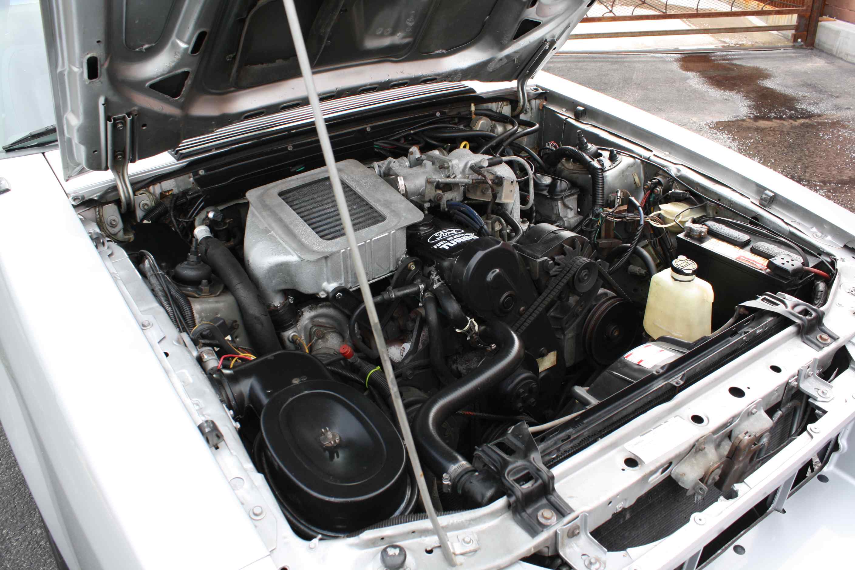 1984 Mustang SVO