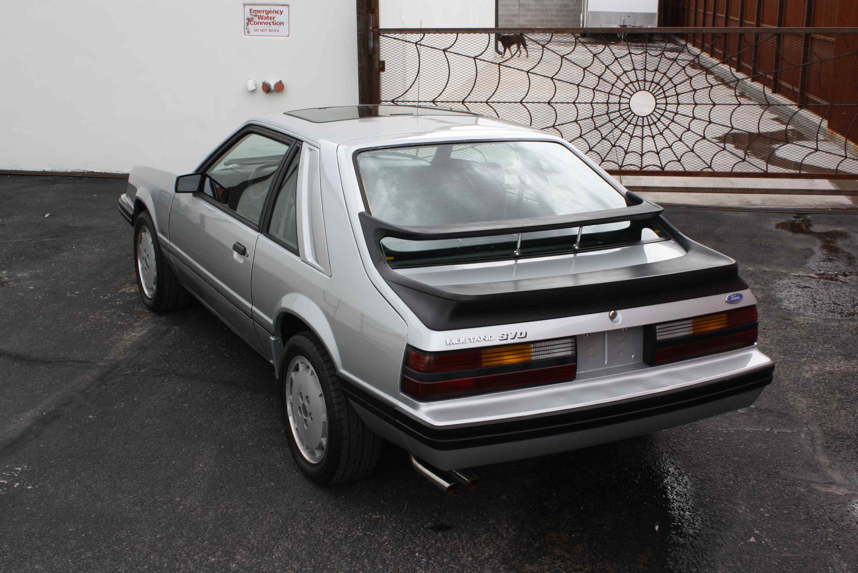 1984 Mustang SVO