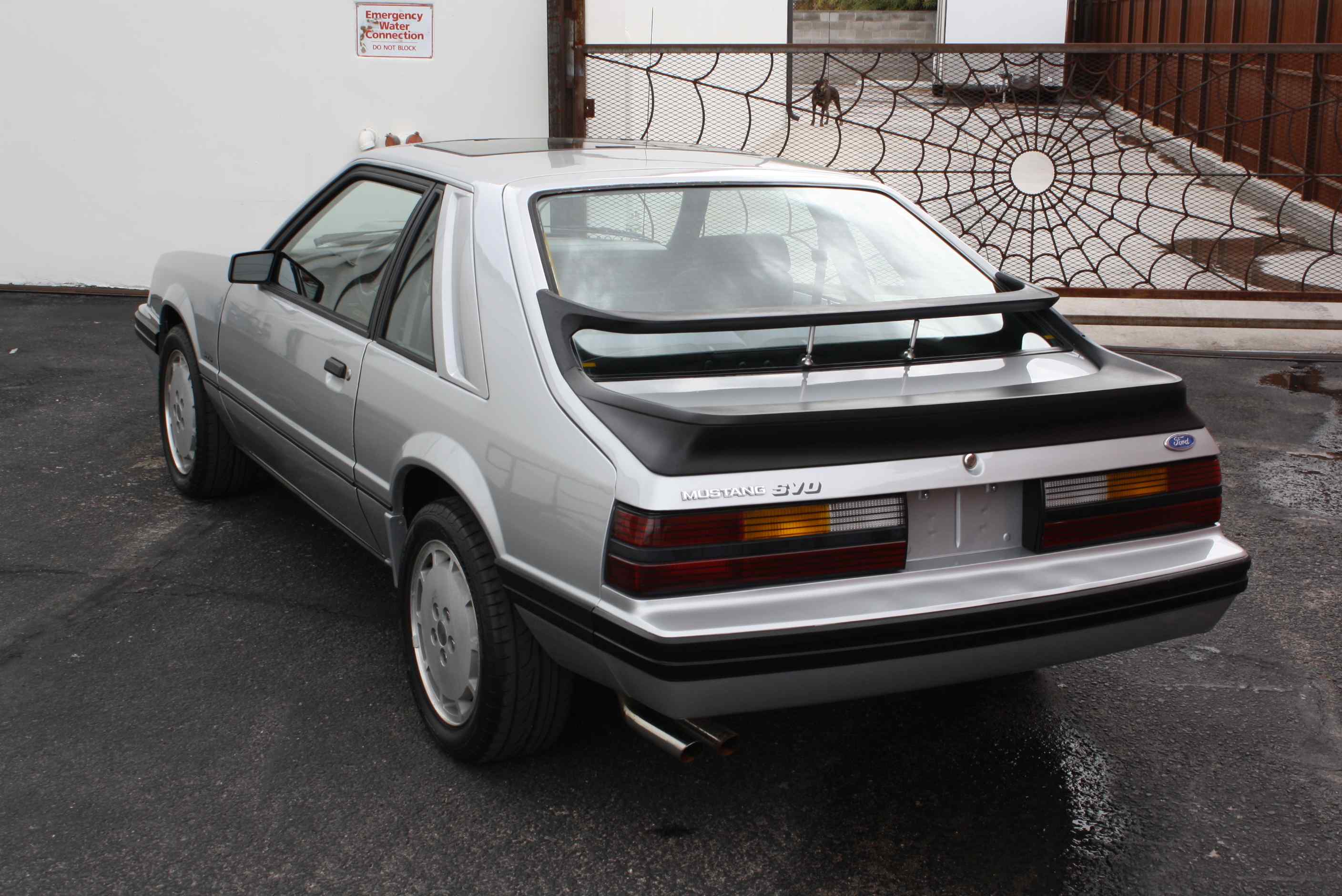 1984 Mustang SVO