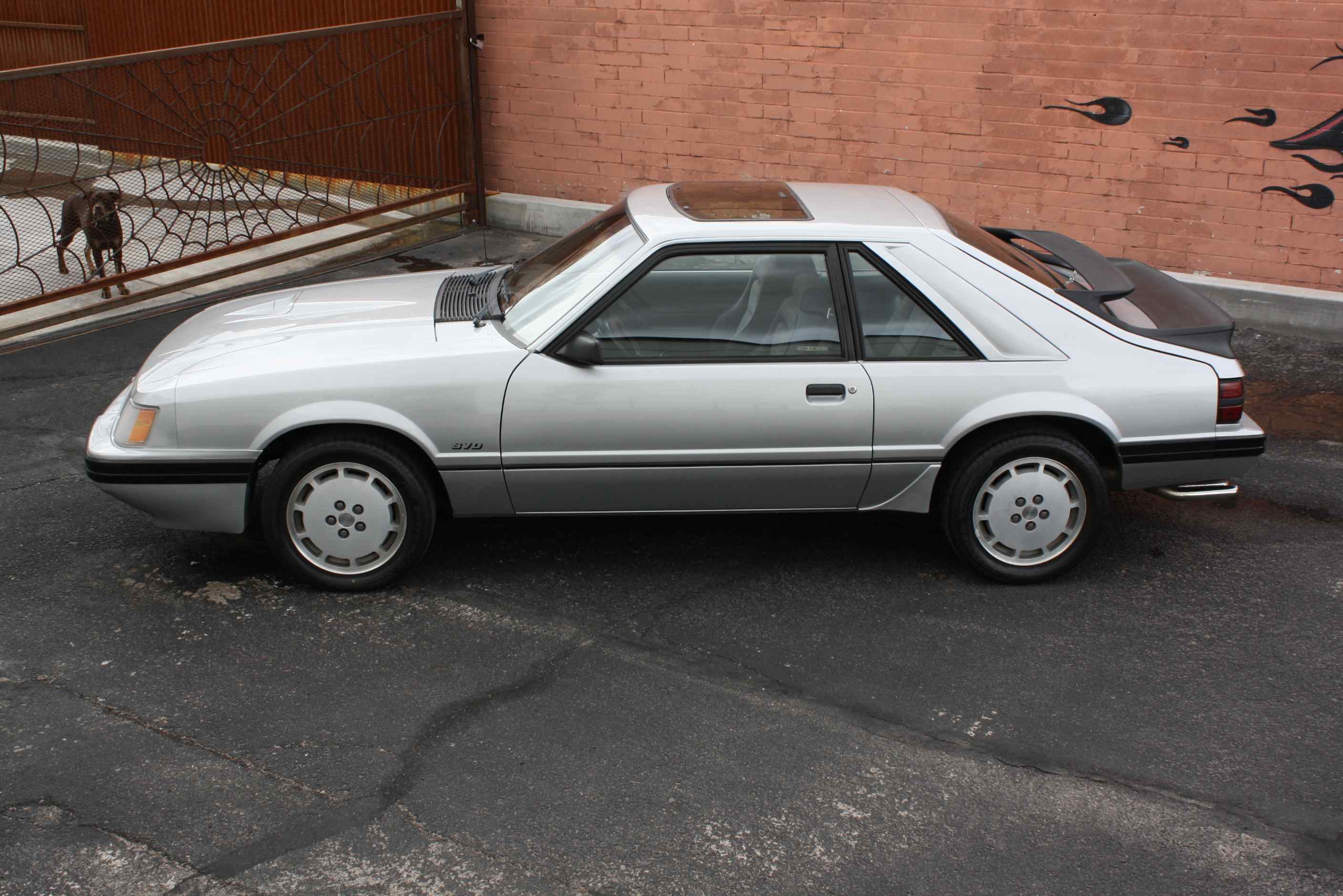 1984 Mustang SVO