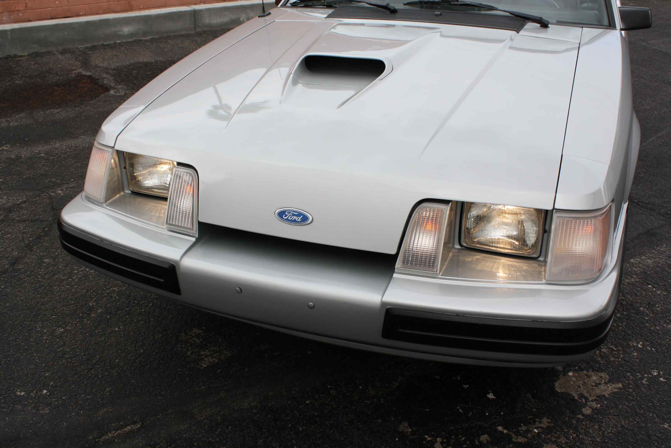 1984 Mustang SVO