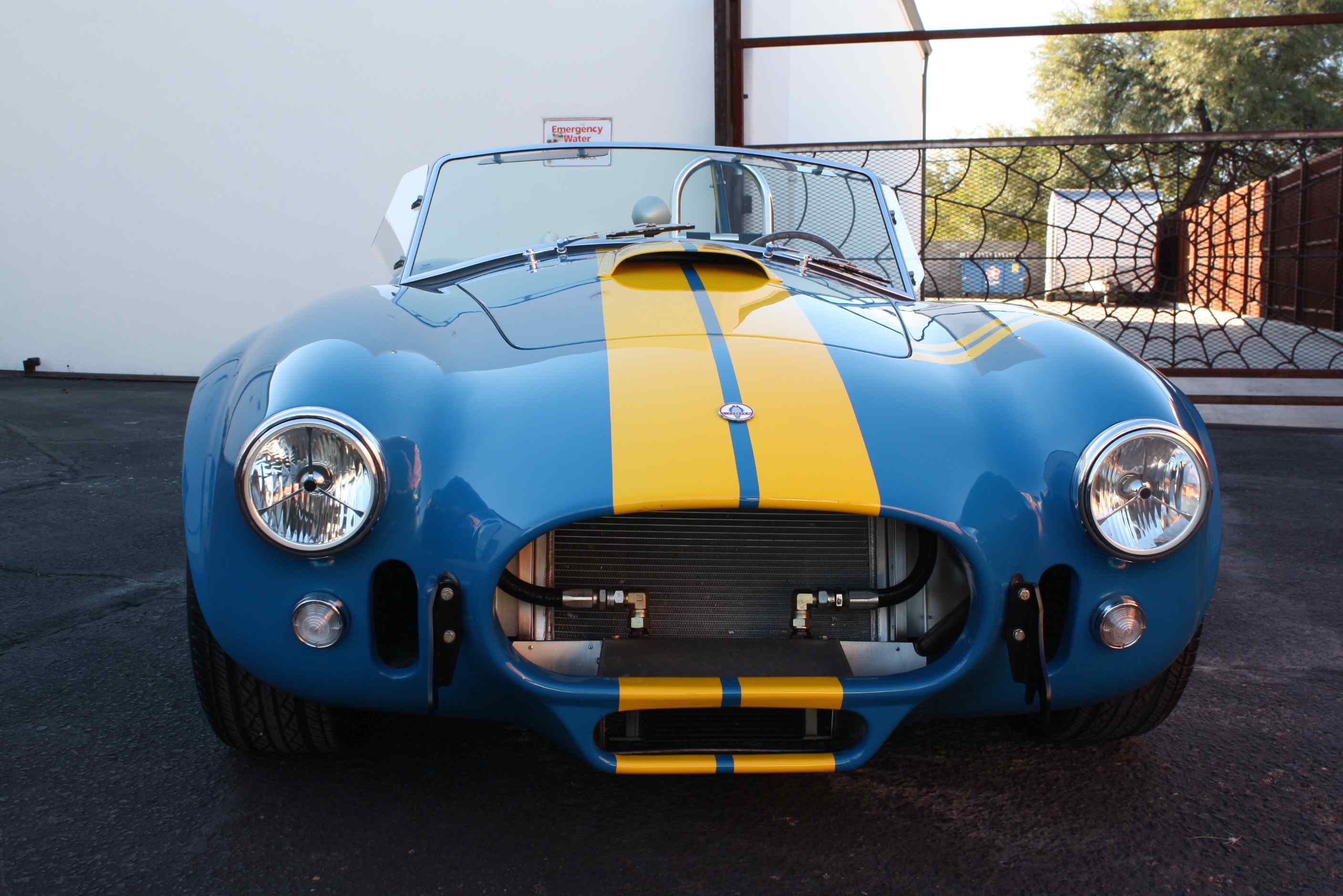 1965 Shelby “Kirkham” Cobra