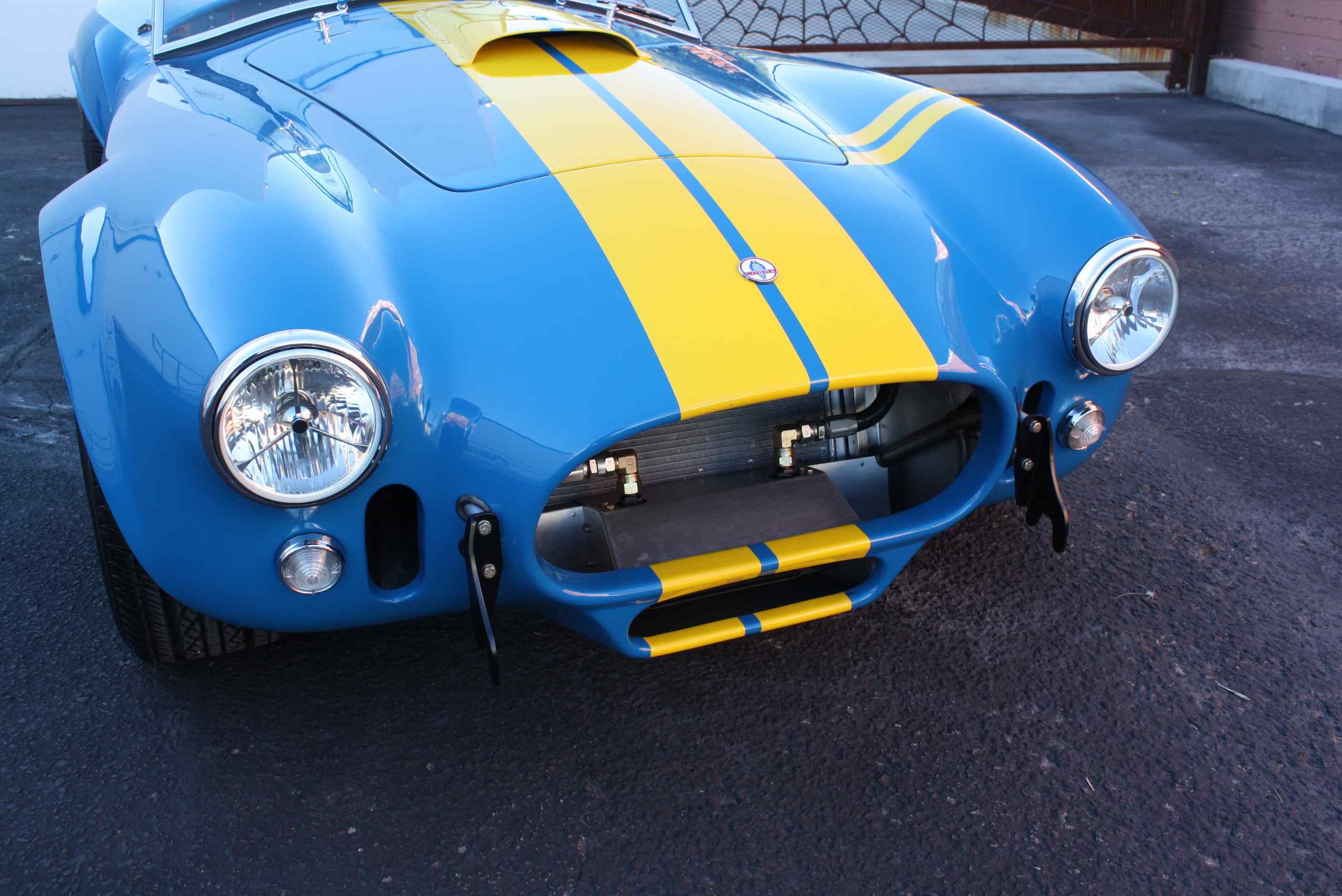 1965 Shelby “Kirkham” Cobra