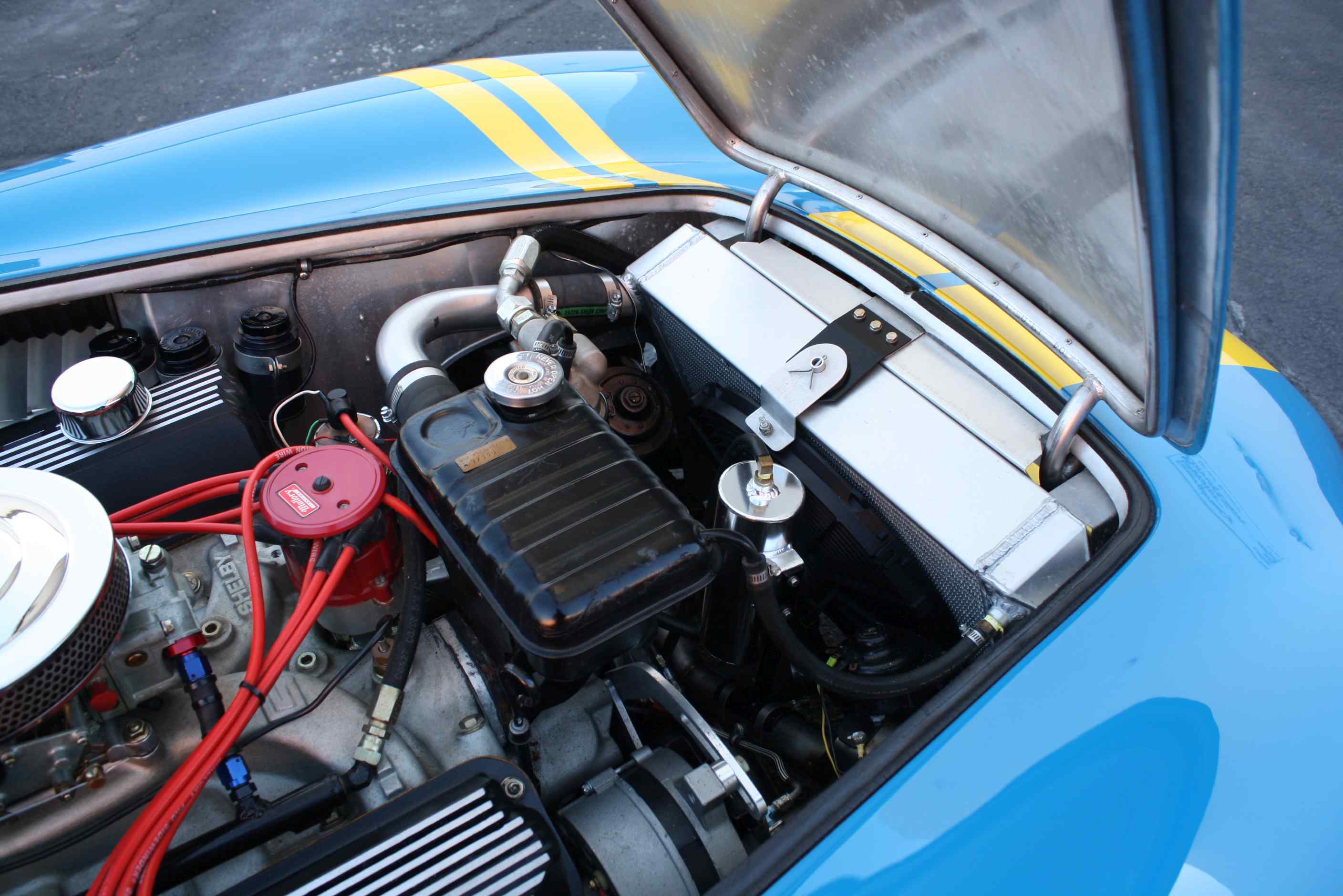 1965 Shelby “Kirkham” Cobra