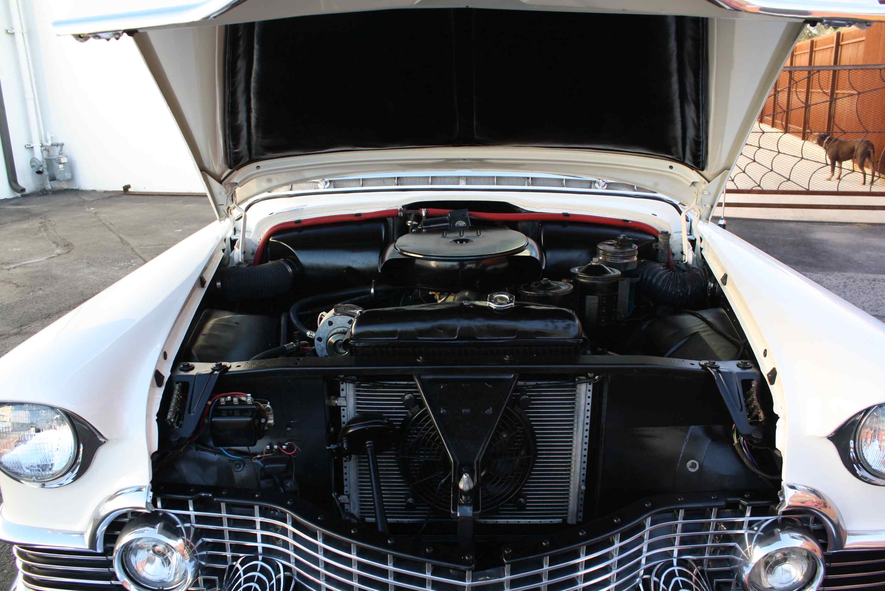 1954 Cadillac Eldorado Convertible