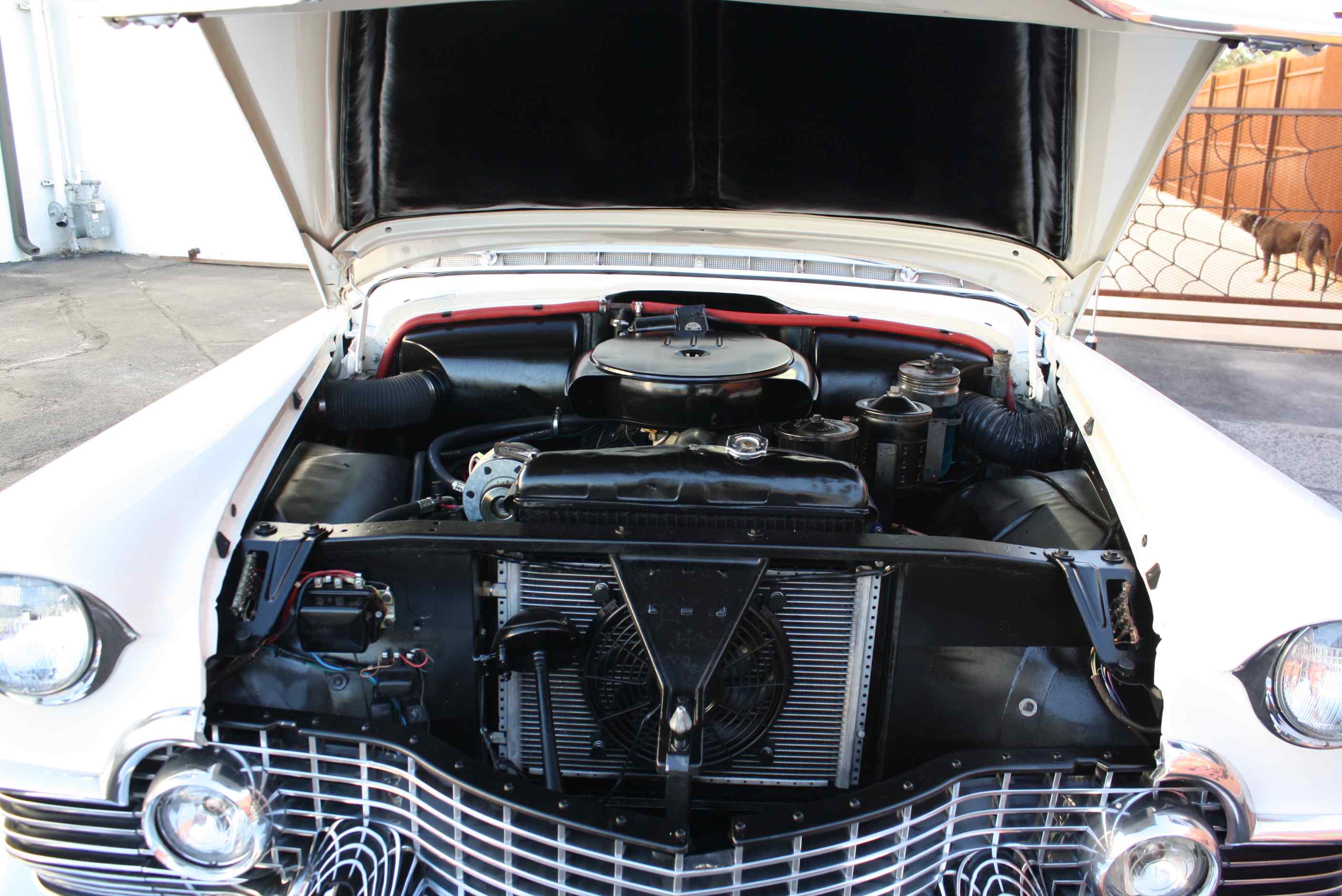 1954 Cadillac Eldorado Convertible