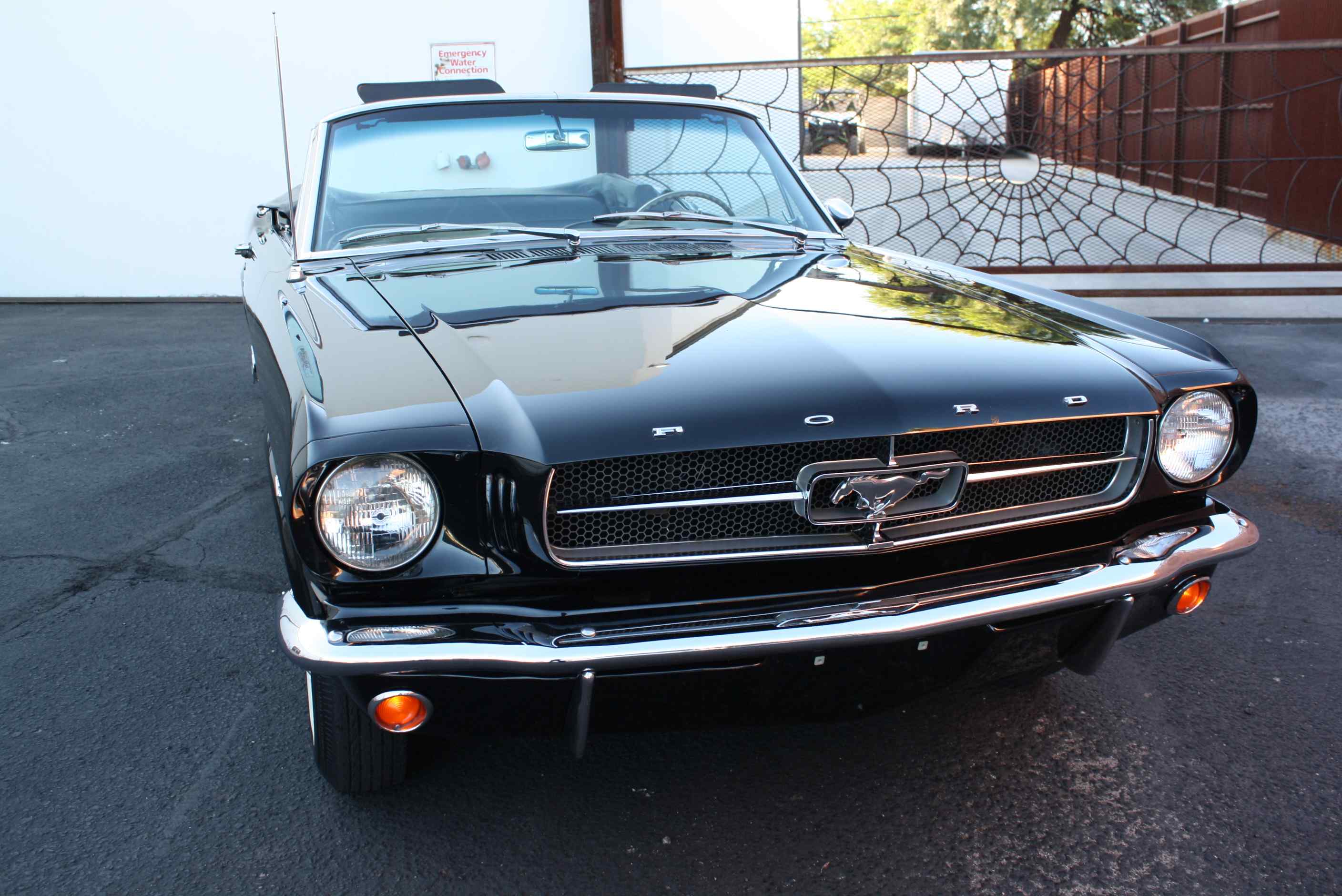 1965 Mustang Convertible