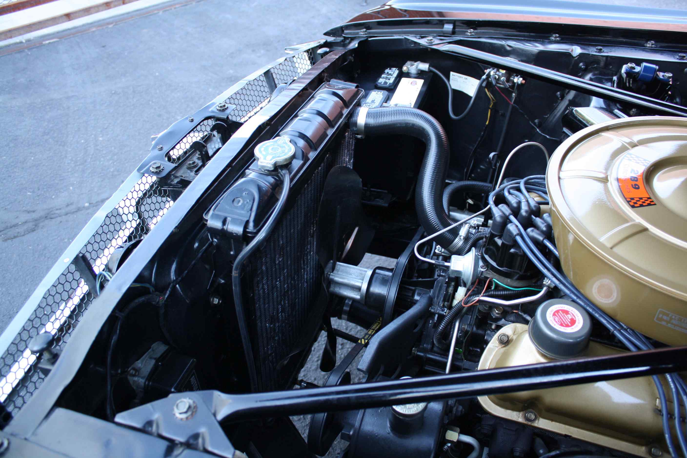 1965 Mustang Convertible