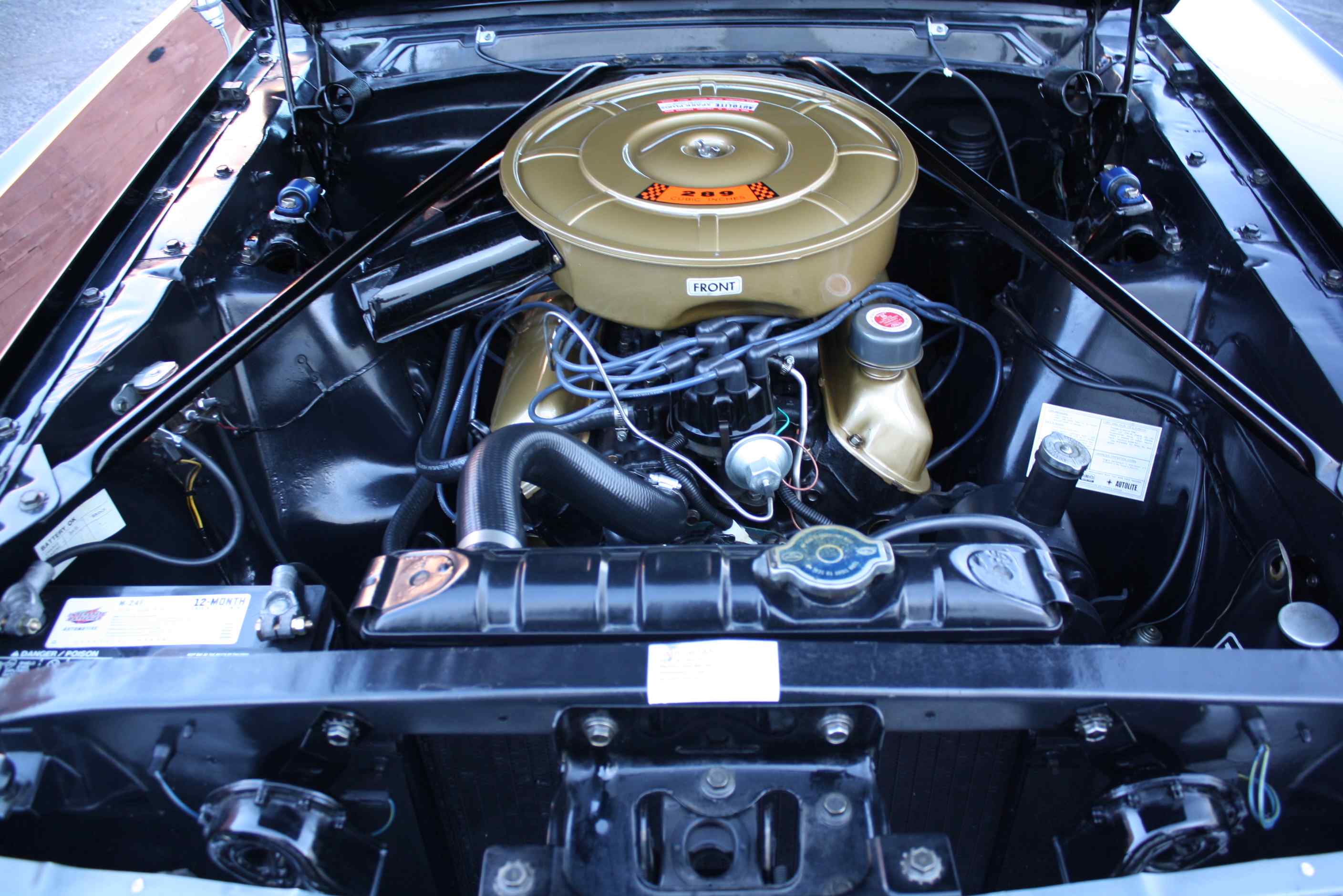 1965 Mustang Convertible