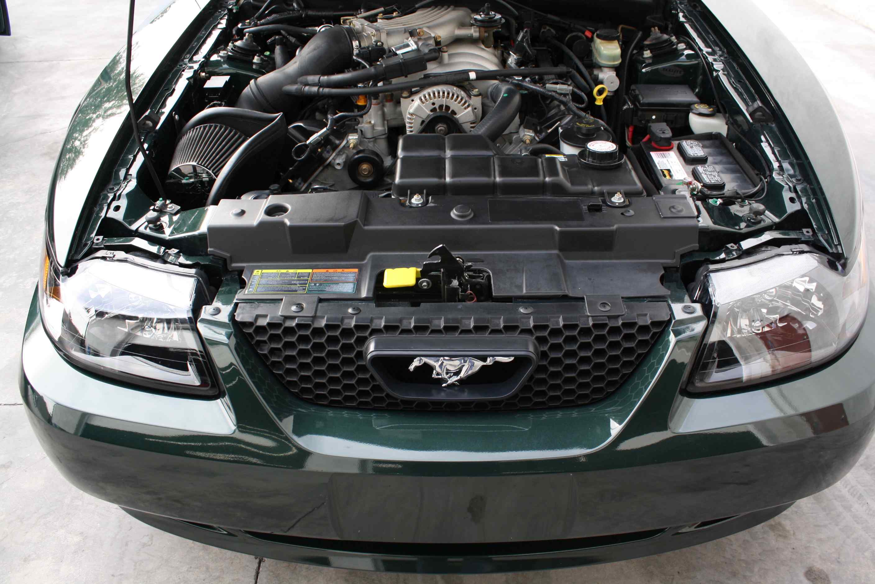 2001 Mustang BULLITT EDITION #3976