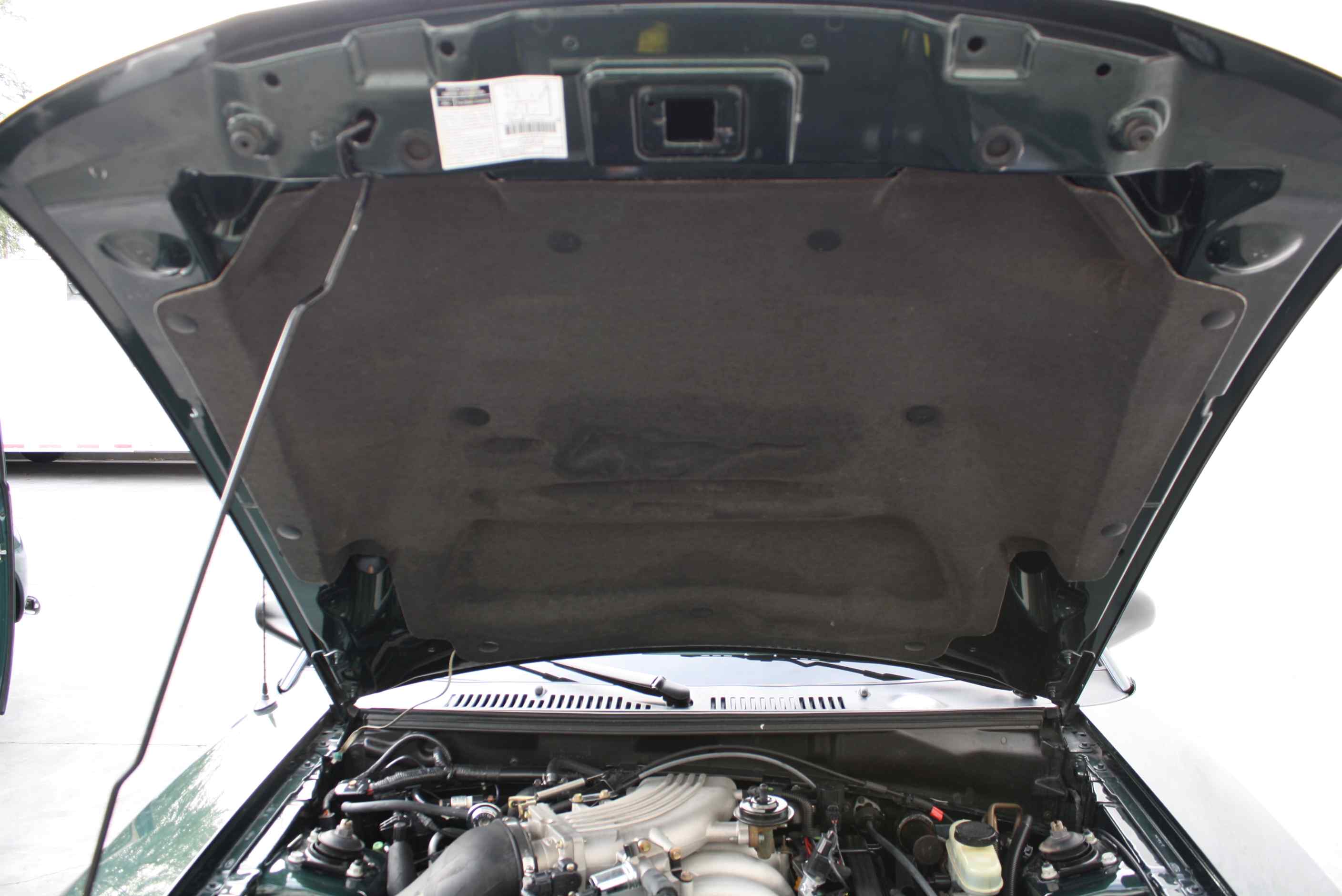 2001 Mustang BULLITT EDITION #3976