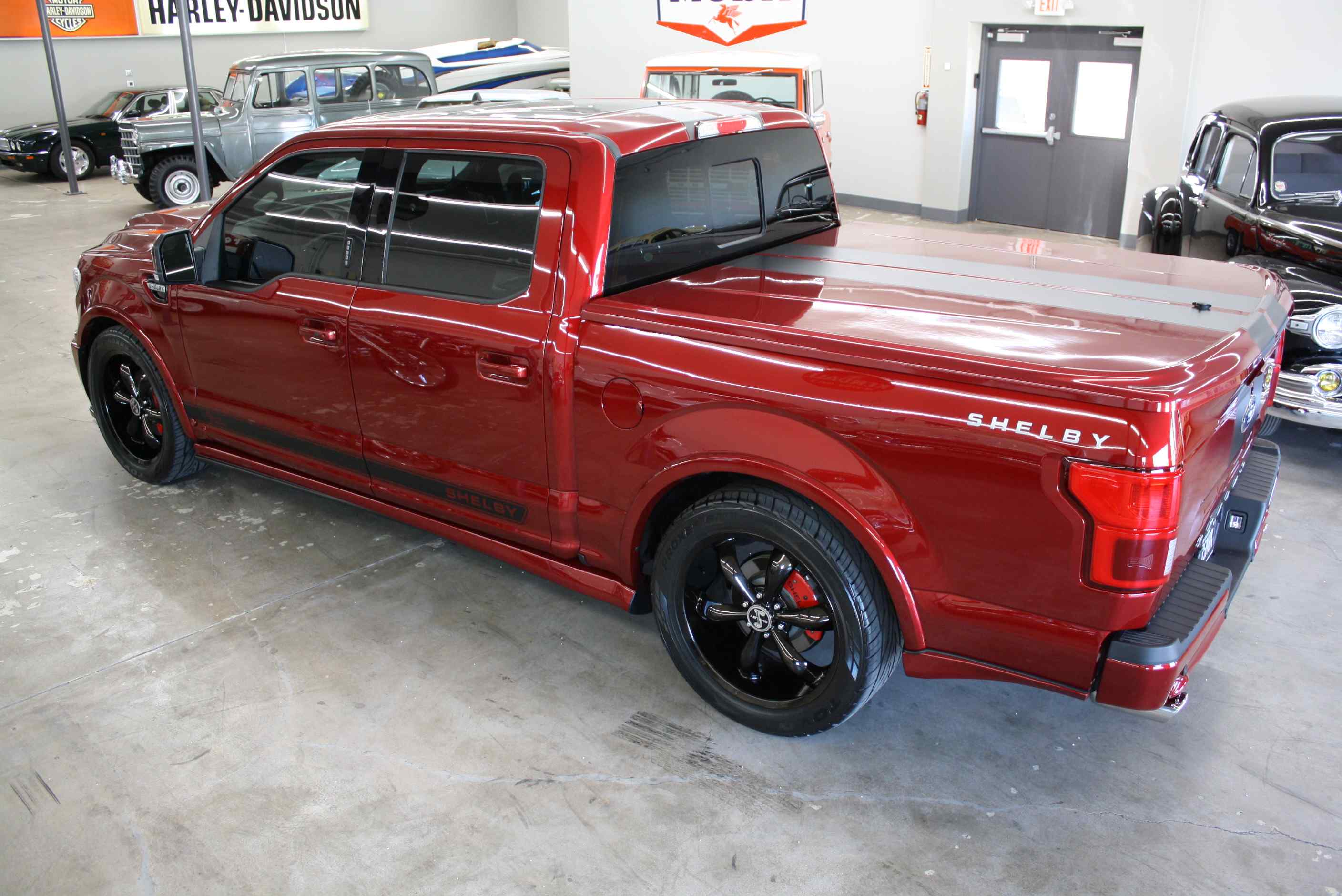 2019 Shelby Supersnake F150