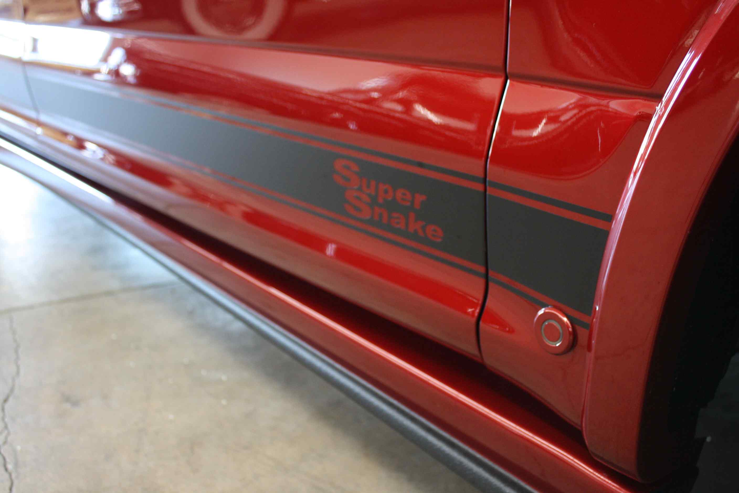 2019 Shelby Supersnake F150