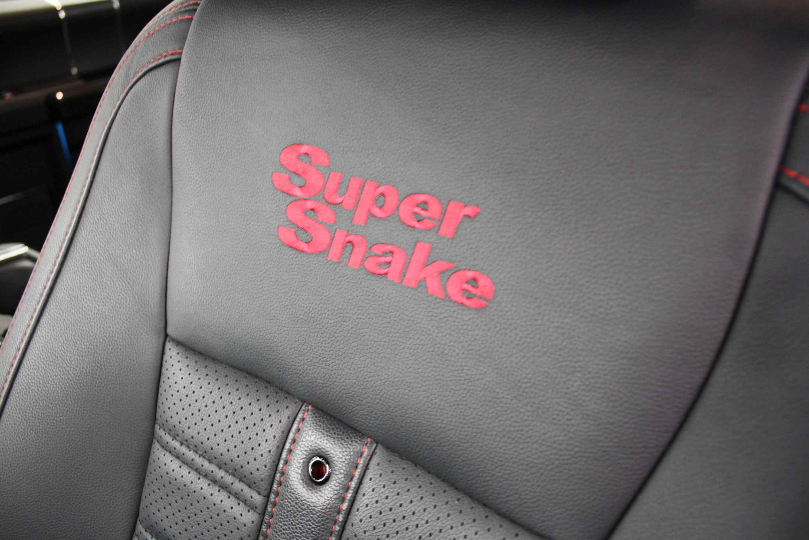 2019 Shelby Supersnake F150