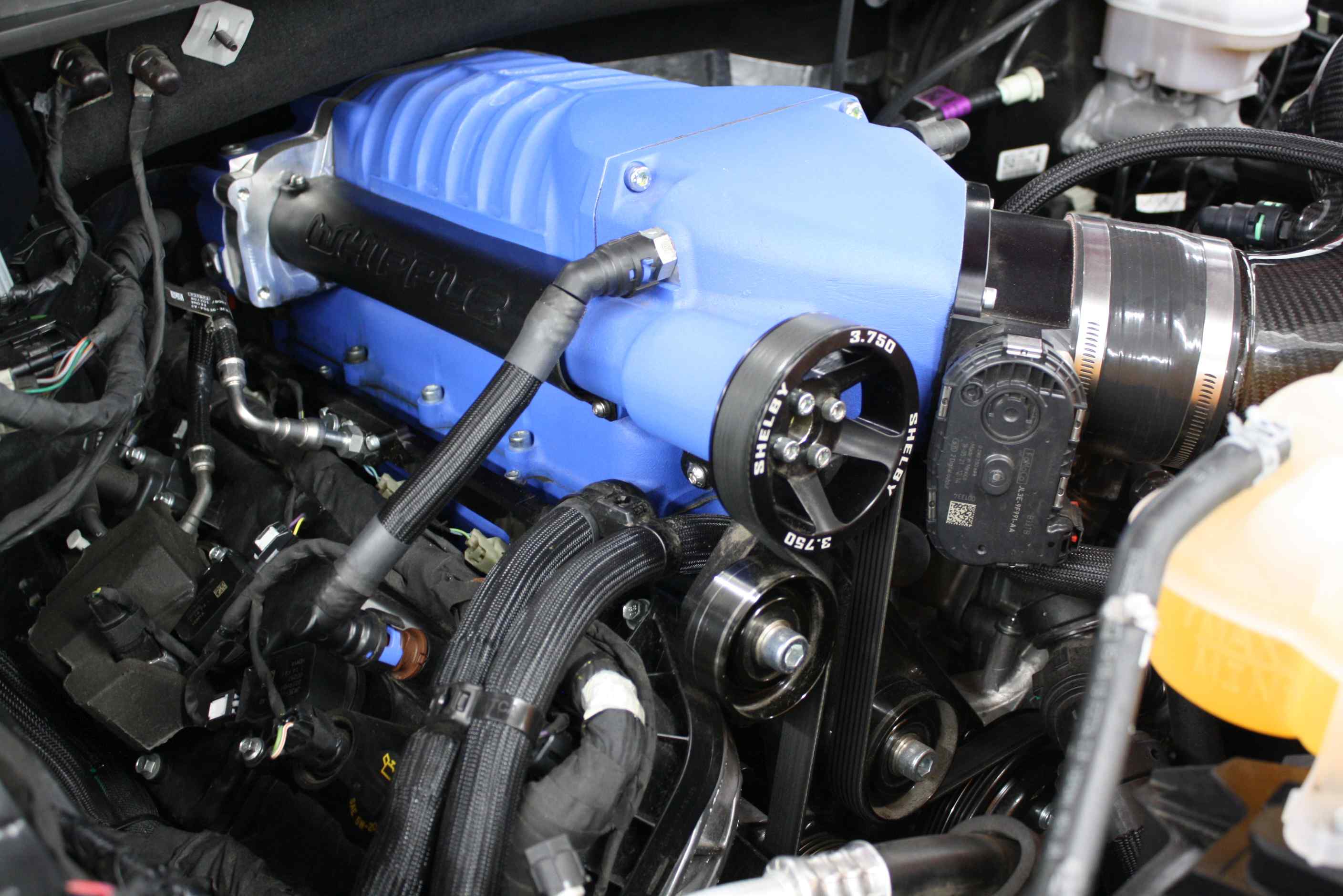 2019 Shelby Supersnake F150