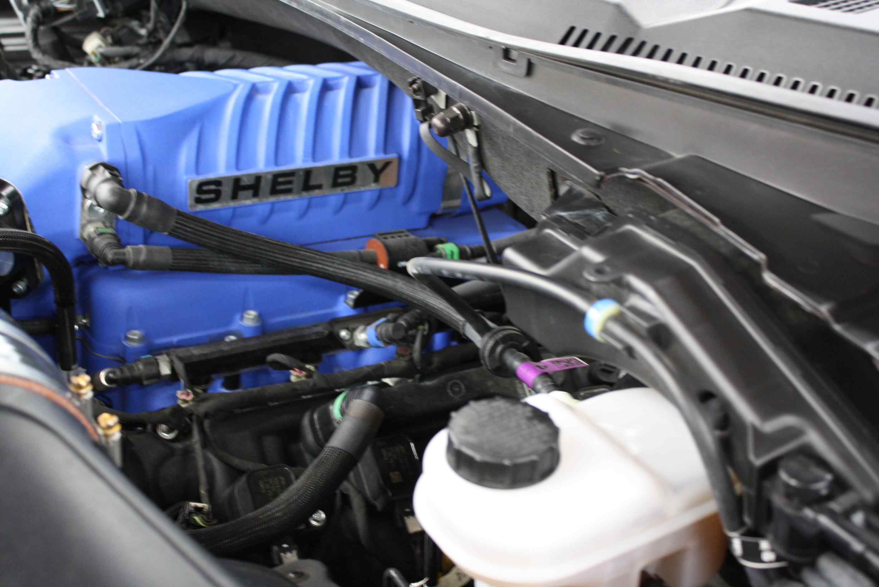 2019 Shelby Supersnake F150
