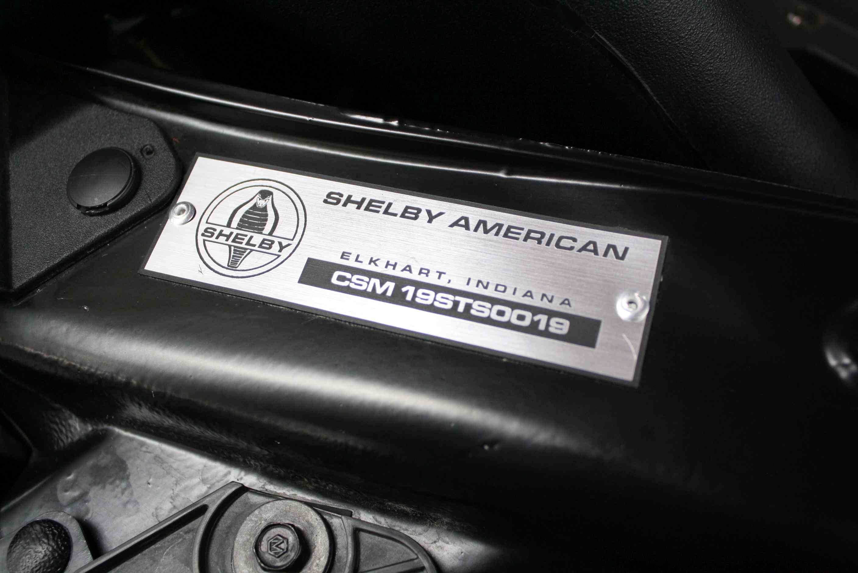2019 Shelby Supersnake F150