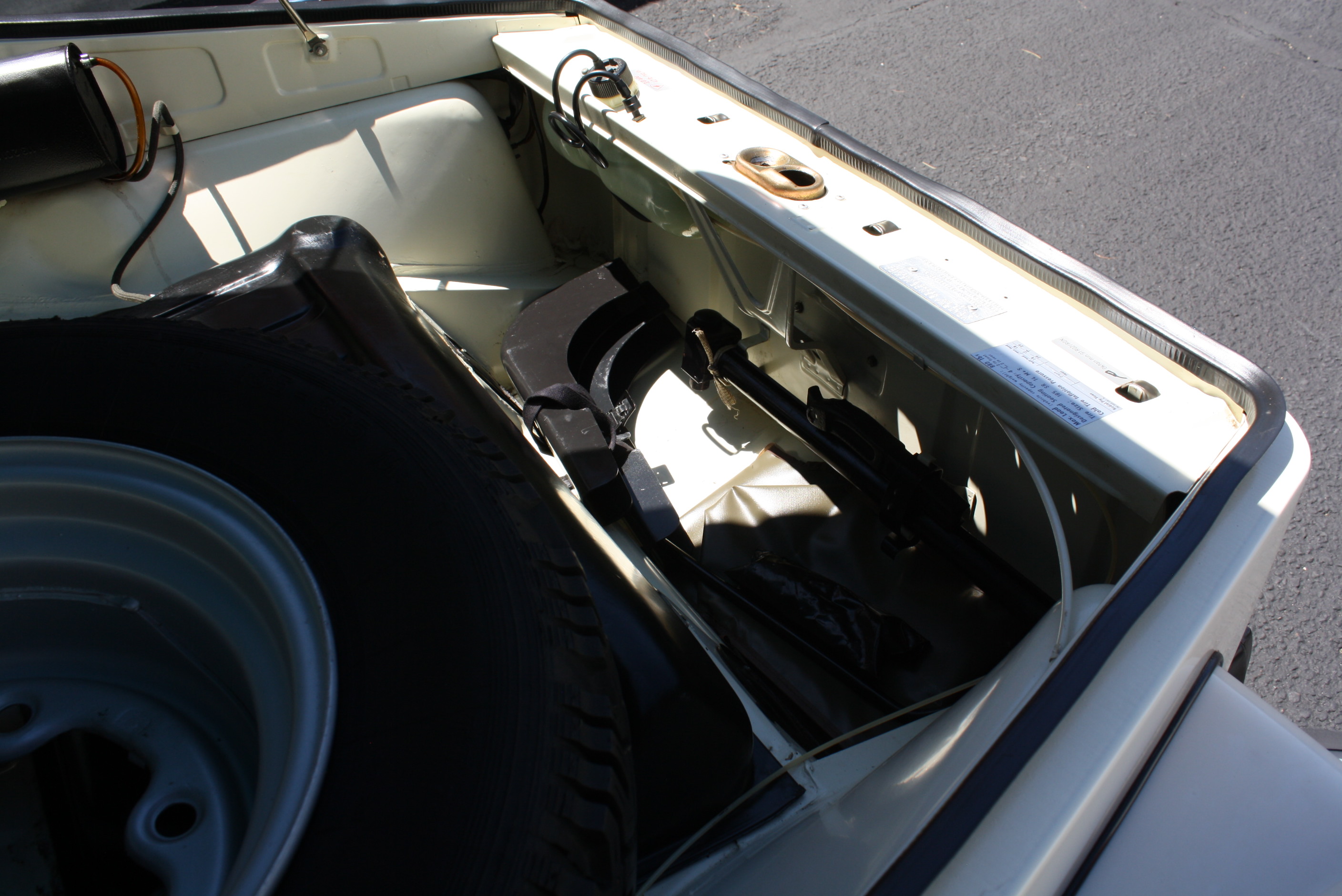 1974 Volkswagen Acapulco Thing.