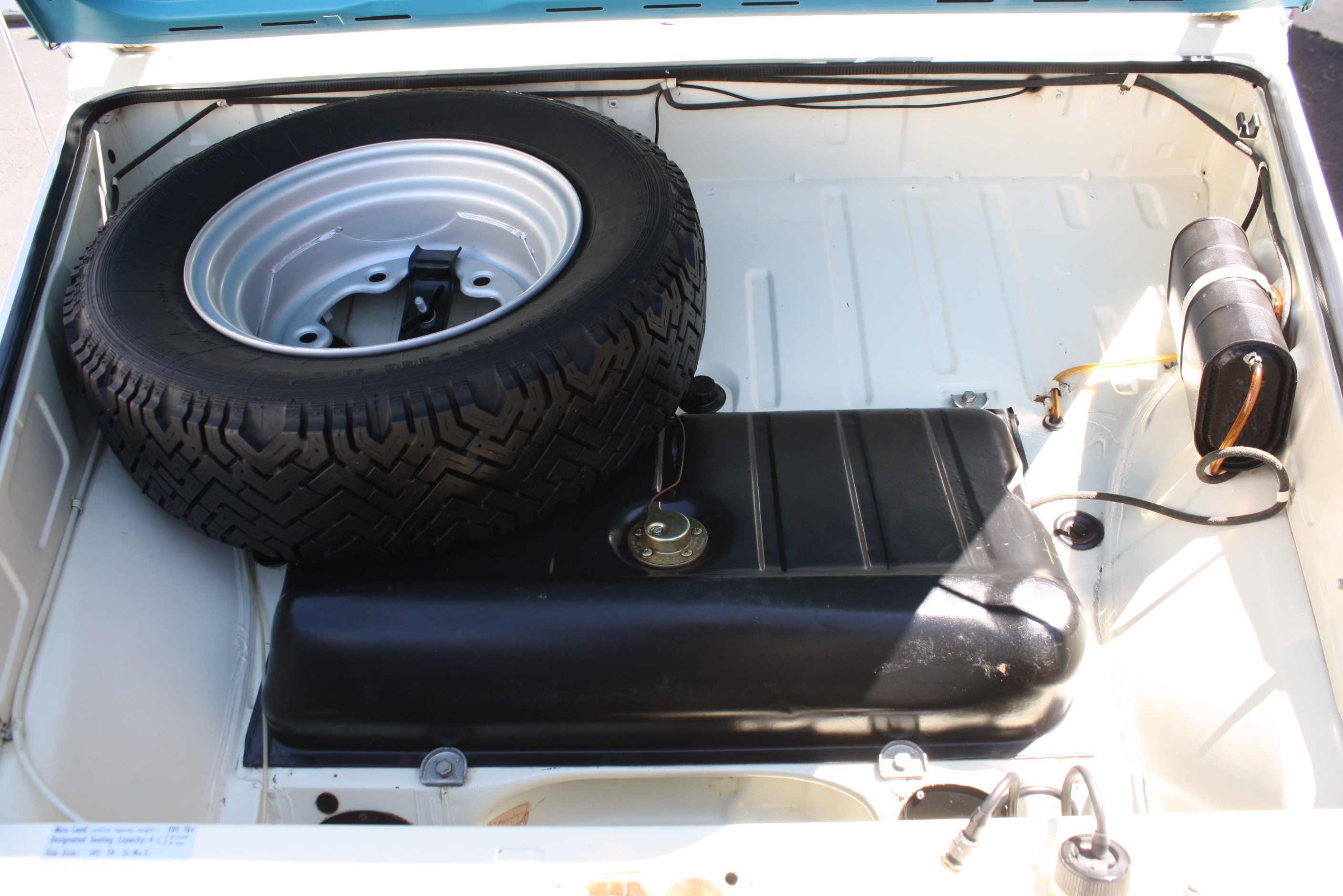 1974 Volkswagen Acapulco Thing.