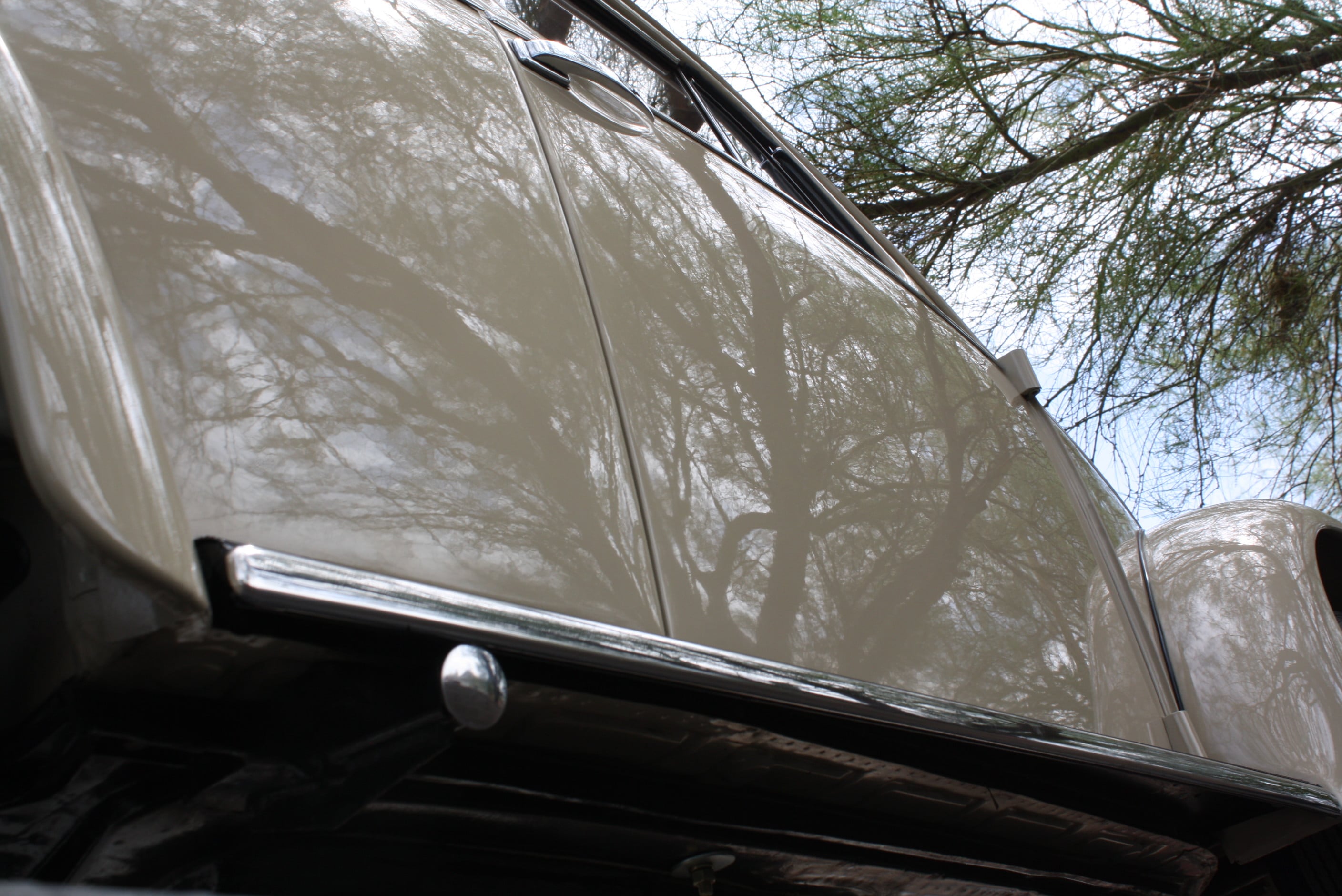 1953 Volkswagen Beetle