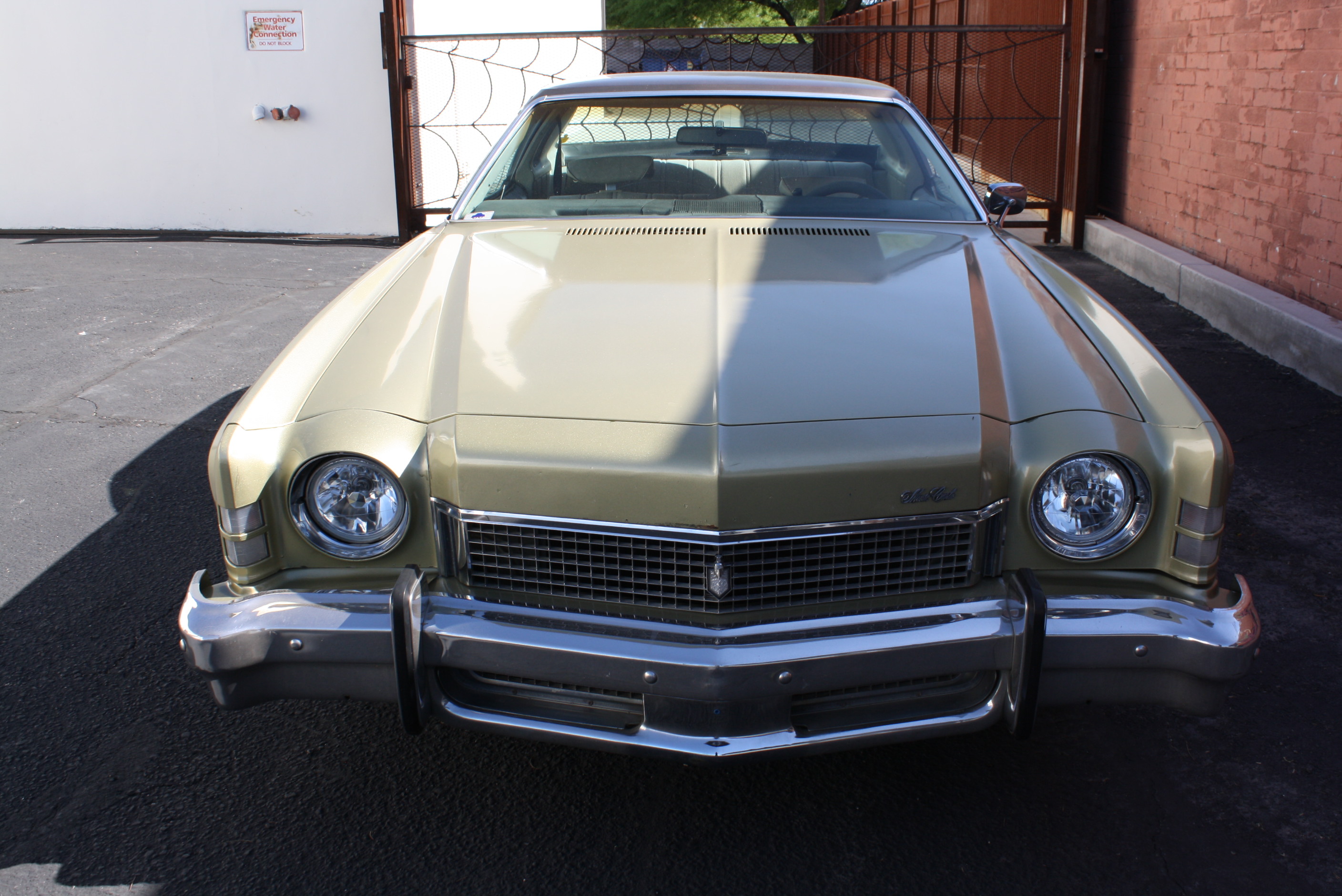 1973 Monte Carlo