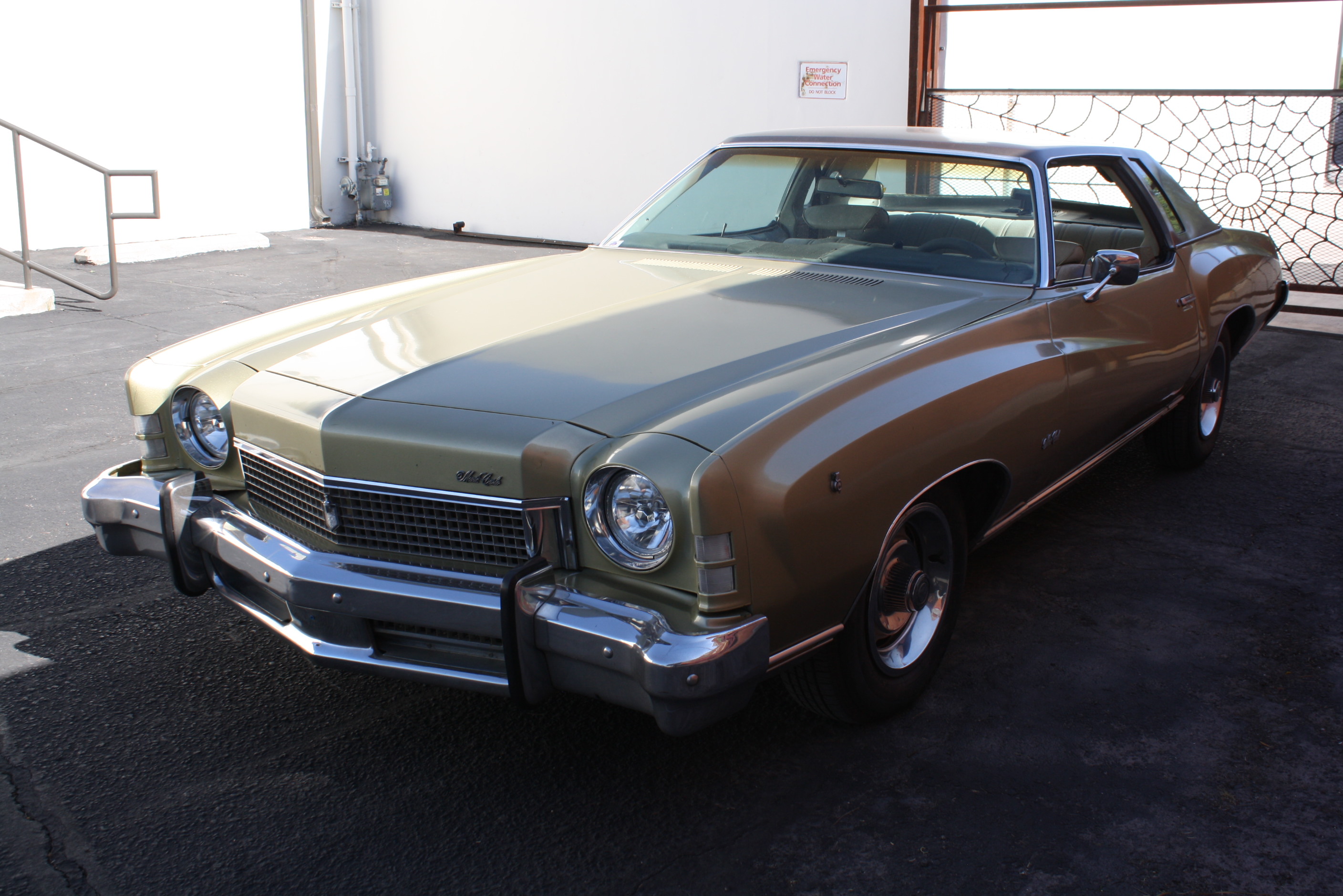 1973 Monte Carlo