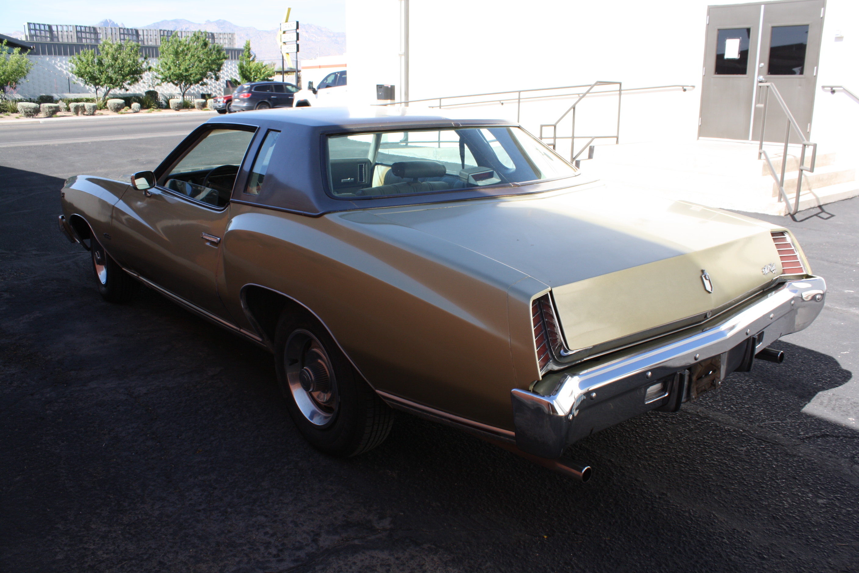 1973 Monte Carlo