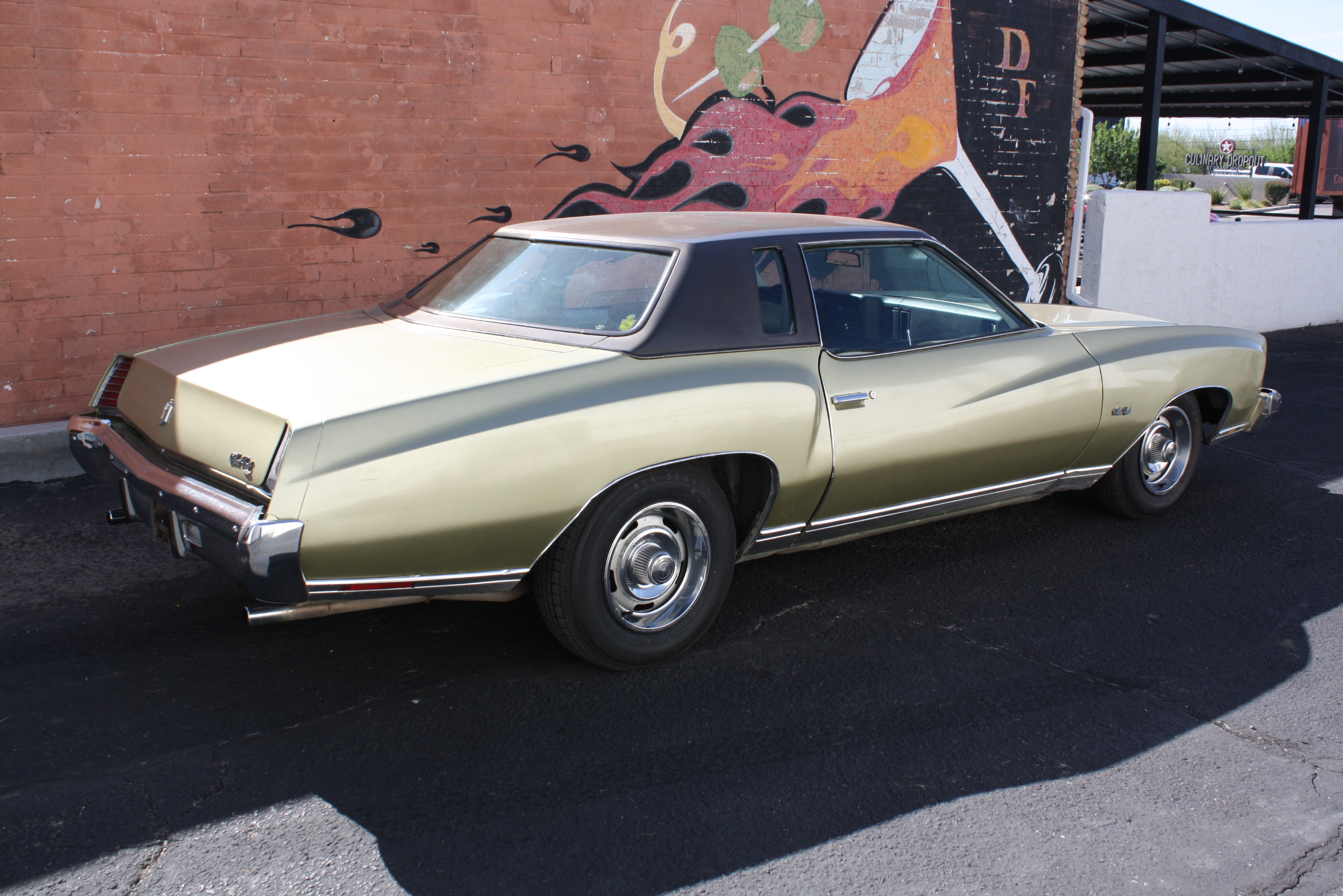 1973 Monte Carlo