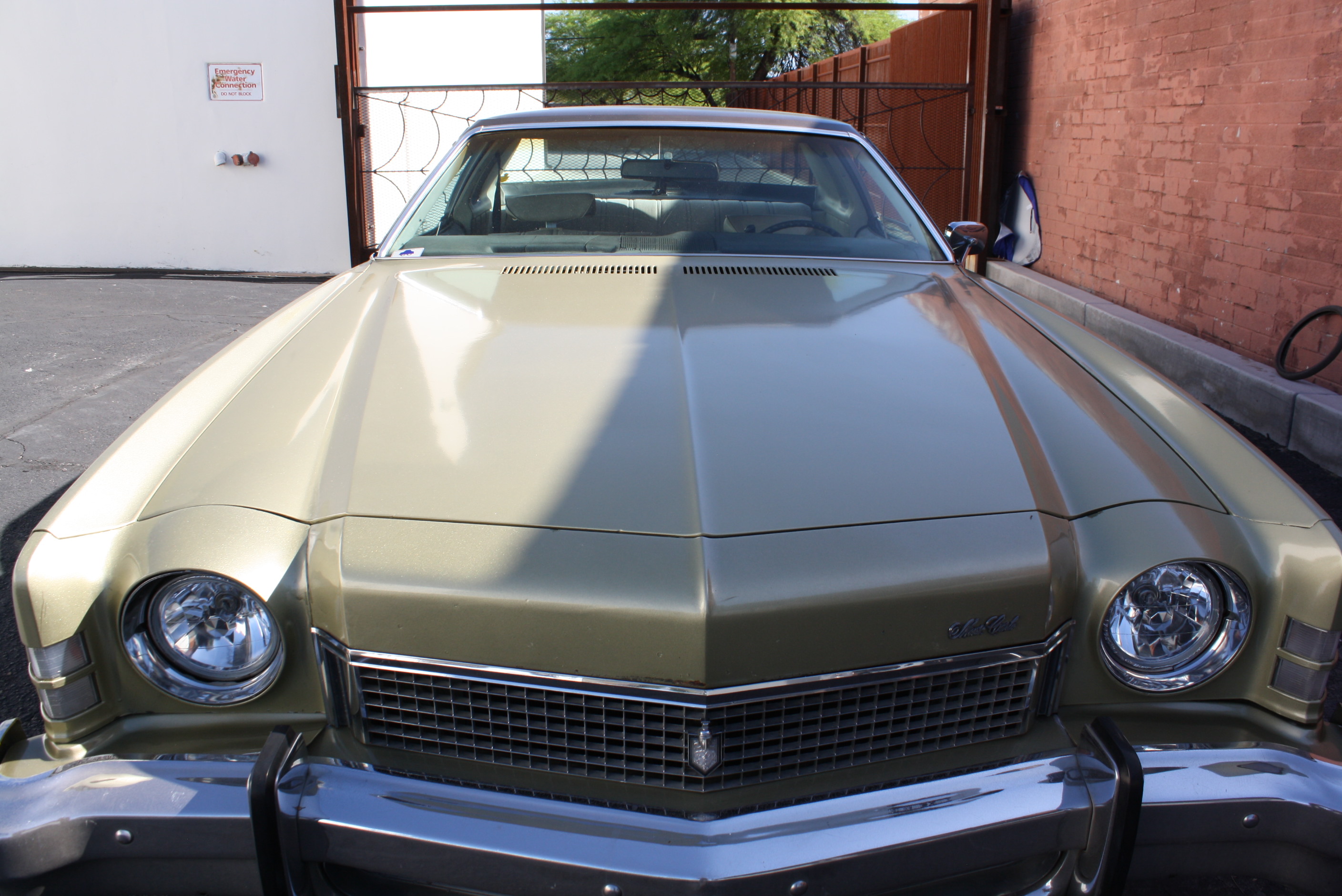 1973 Monte Carlo