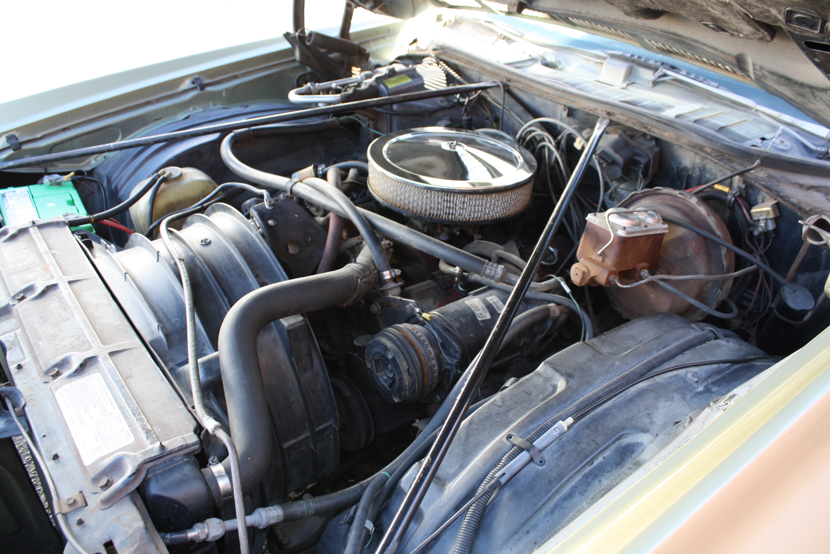 1973 Monte Carlo