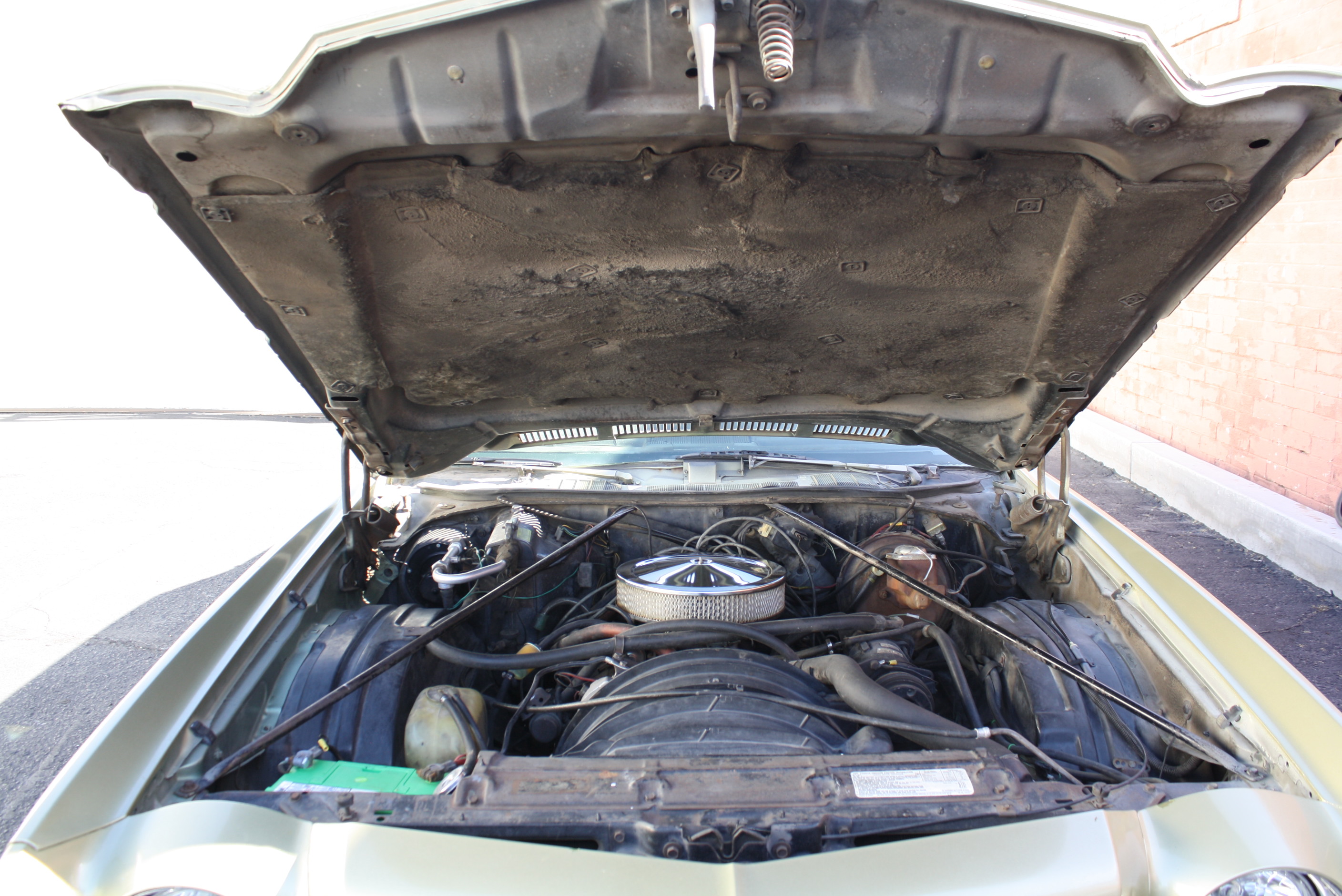 1973 Monte Carlo