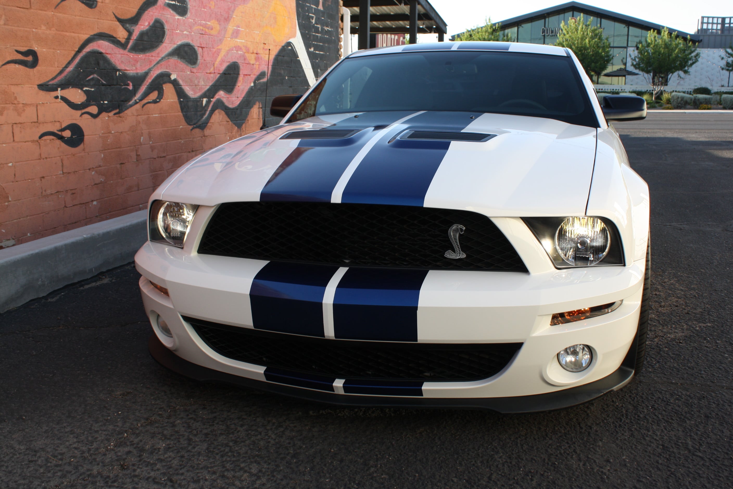 2008 Shelby GT500