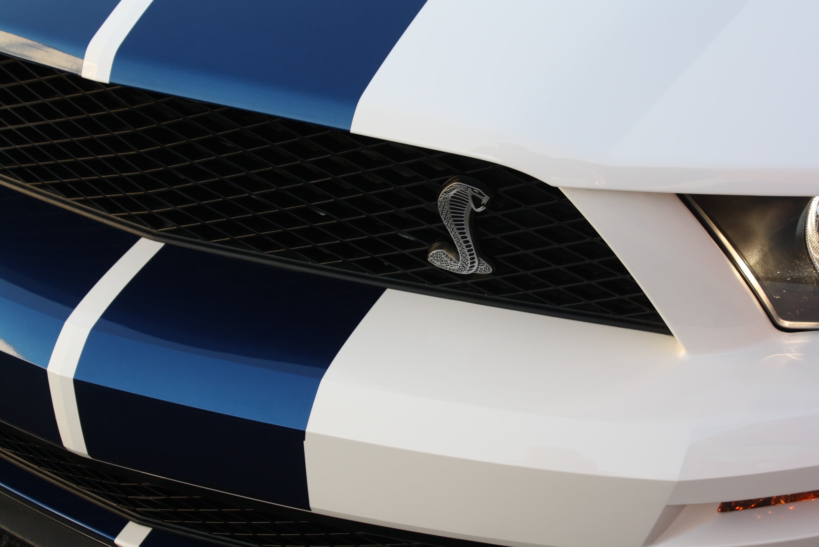 2008 Shelby GT500