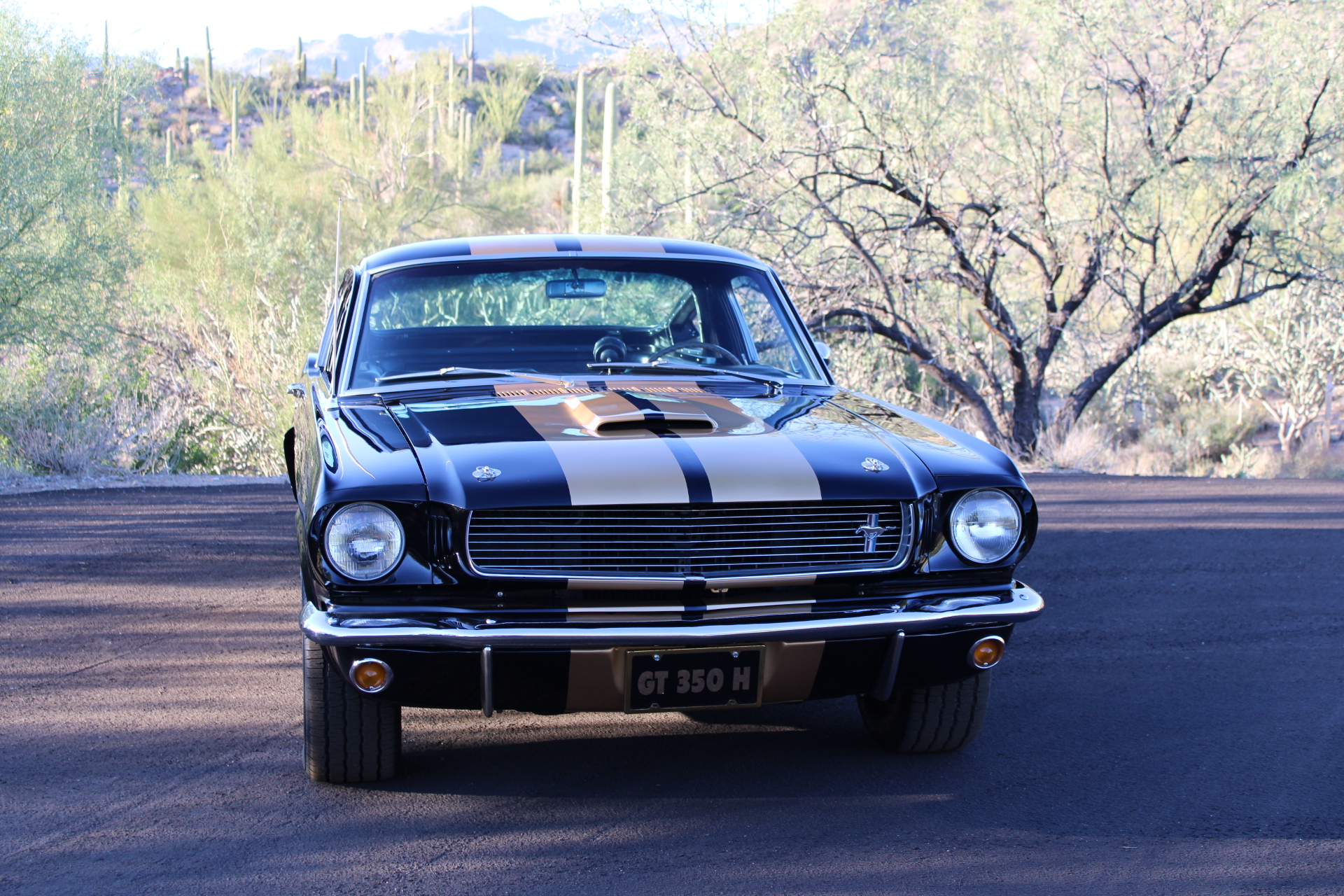 1966 Shelby GT350H #1947
