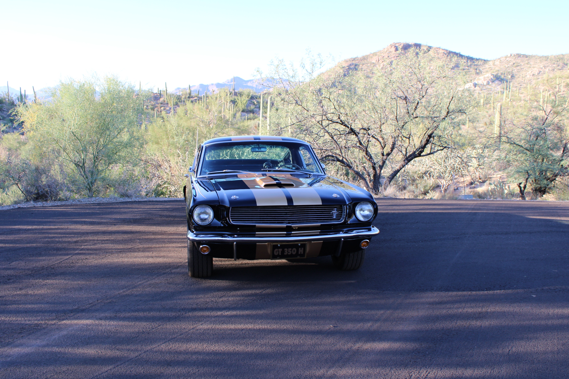 1966 Shelby GT350H #1947
