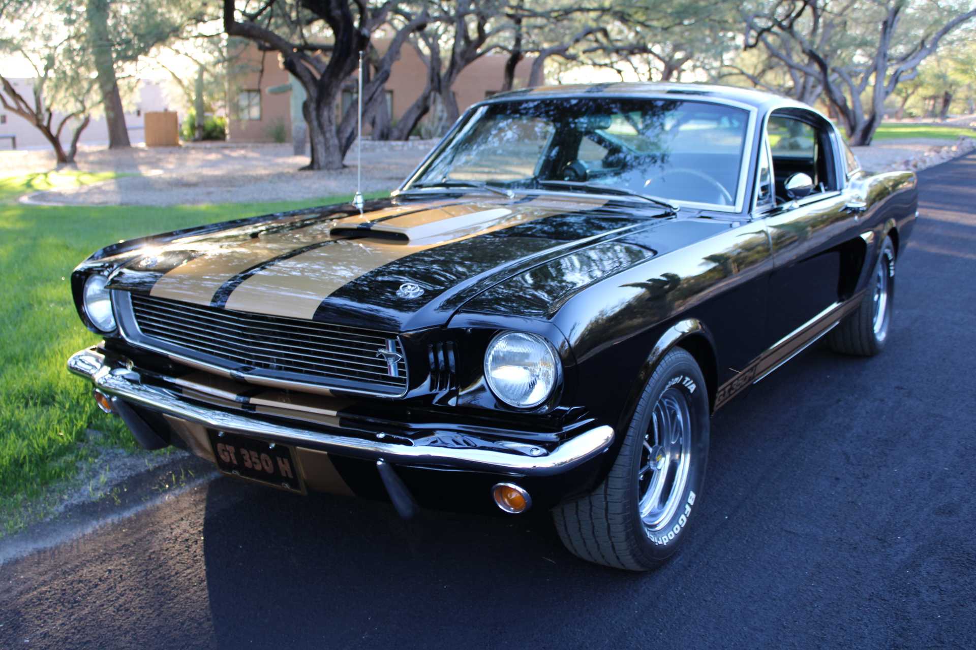 1966 Shelby GT350H #1947
