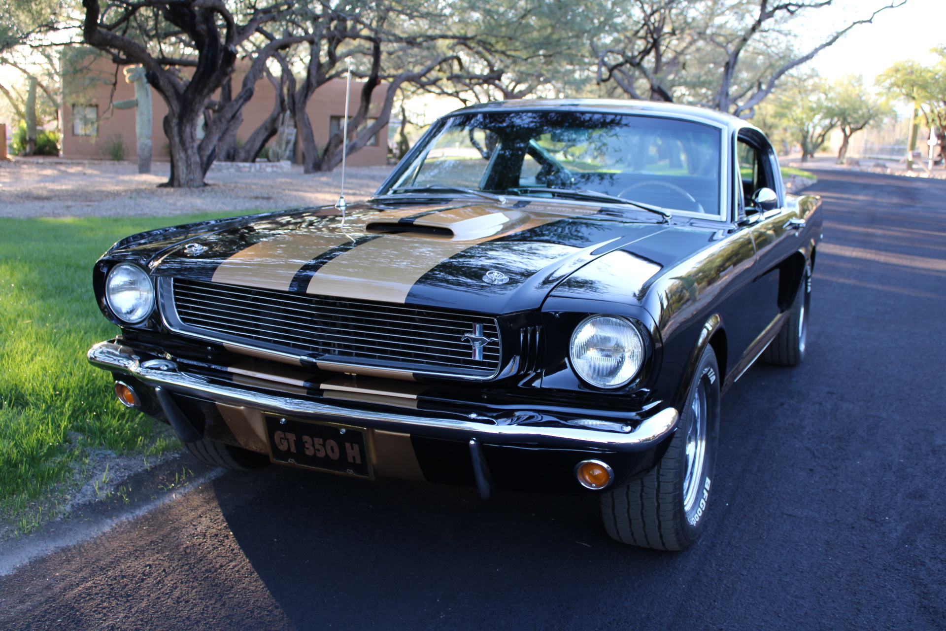 1966 Shelby GT350H #1947