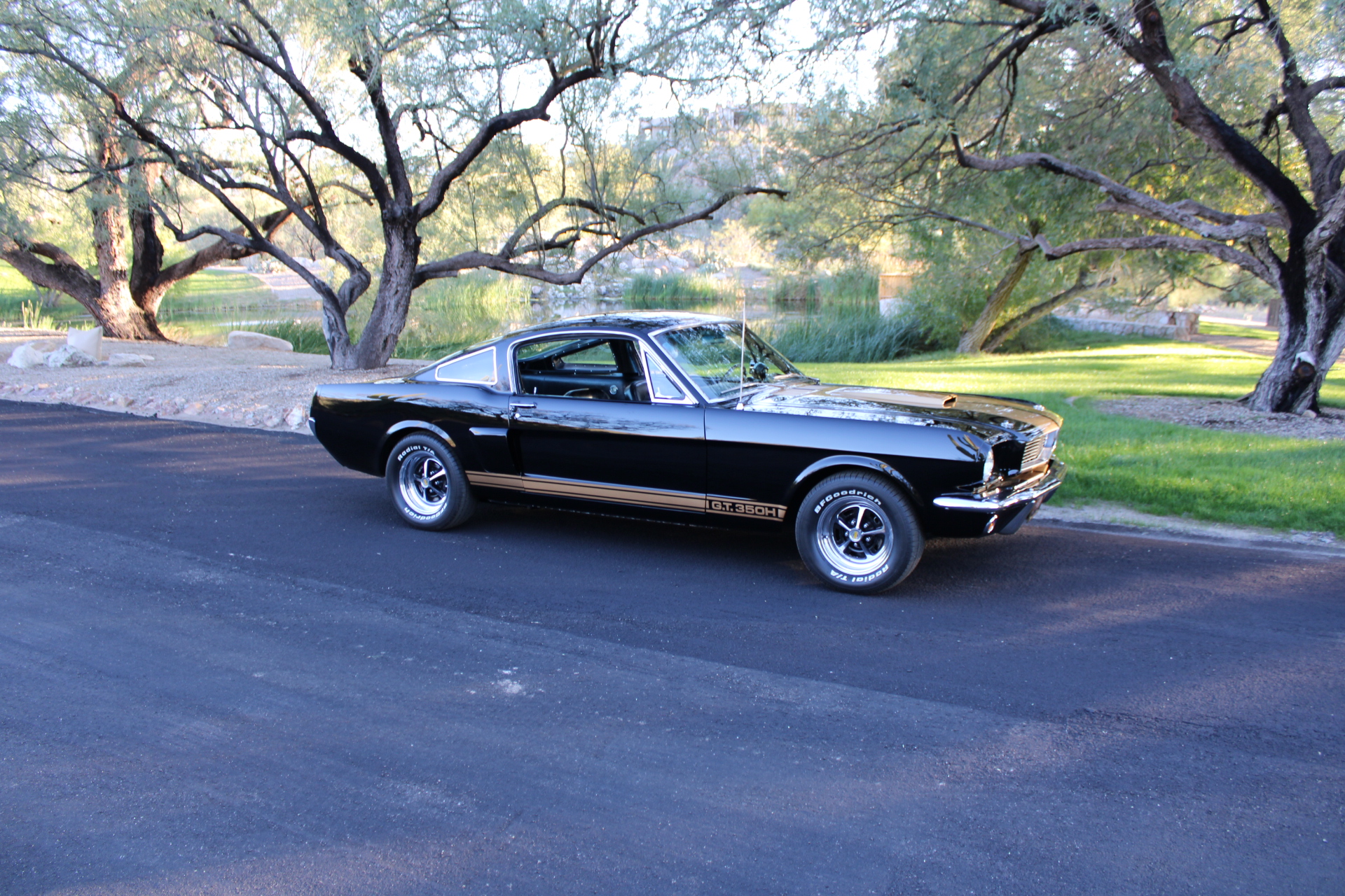 1966 Shelby GT350H #1947