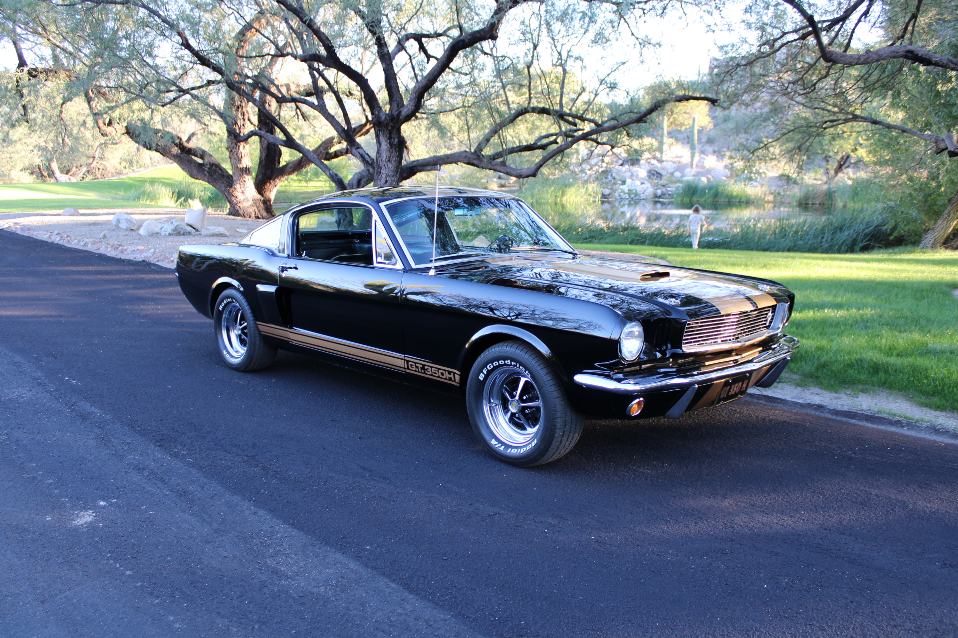 1966 Shelby GT350H #1947