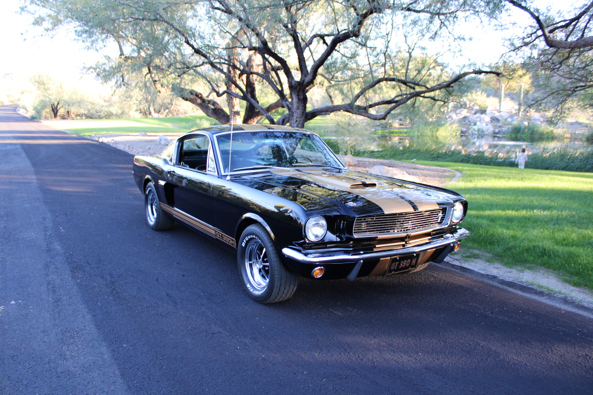 1966 Shelby GT350H #1947