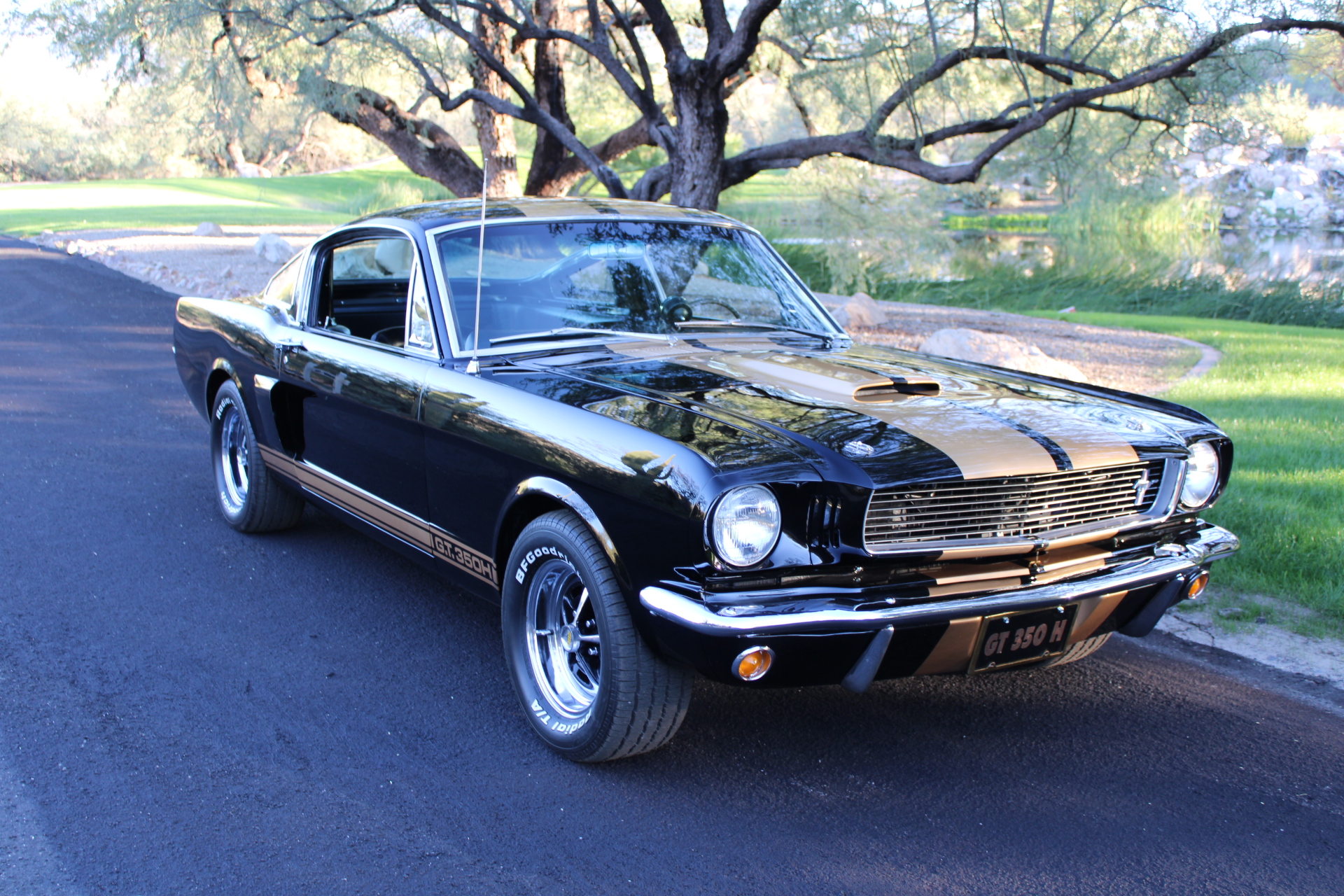 1966 Shelby GT350H #1947