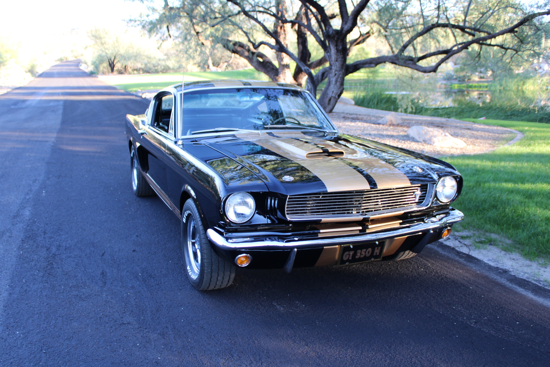 1966 Shelby GT350H #1947