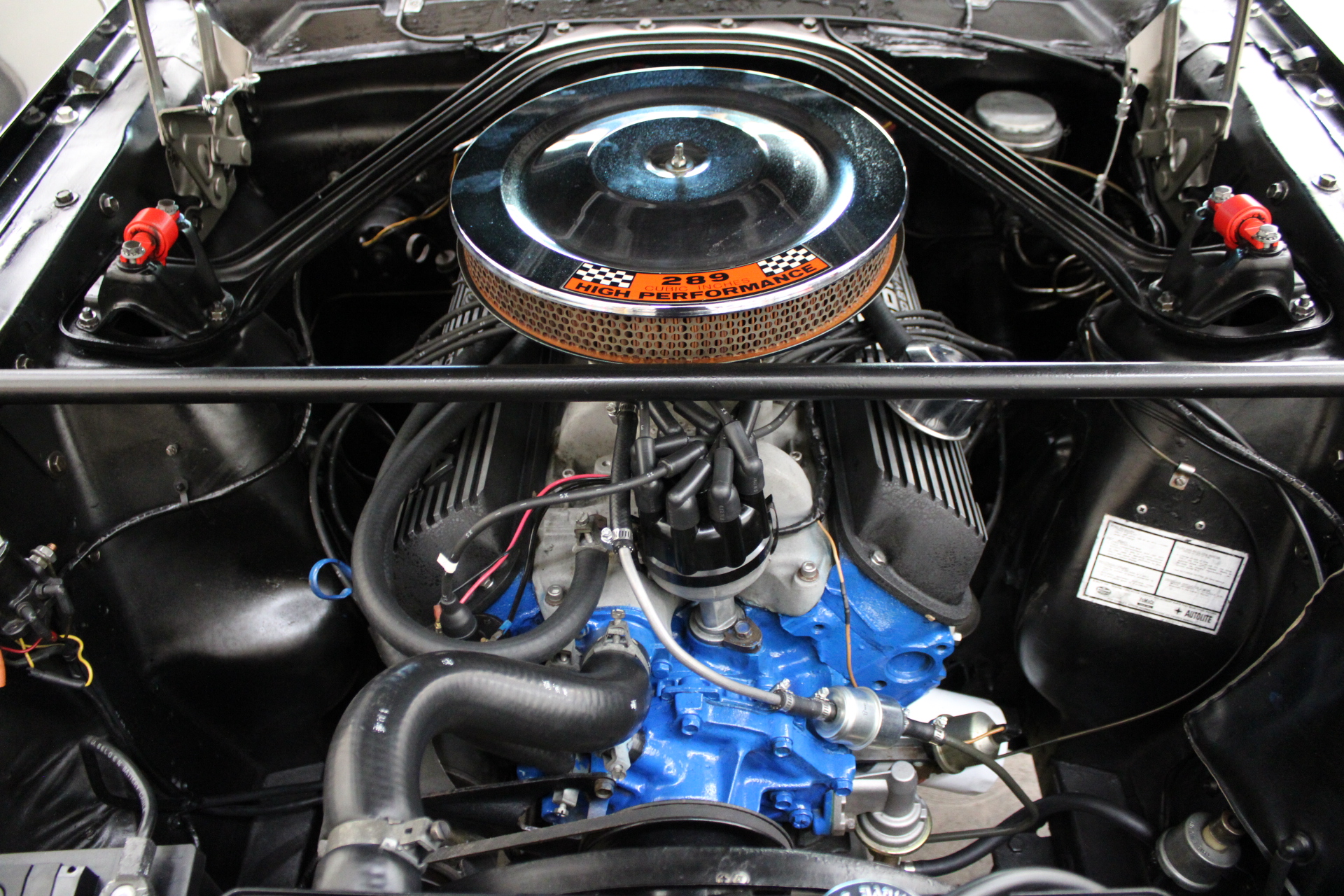 1966 Shelby GT350H #1947
